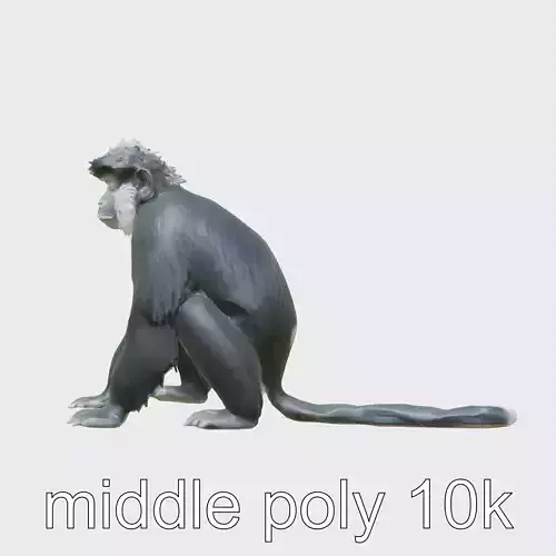 Black Crested Gibbon 3D Model with Detailed Fur Low-poly 3D model