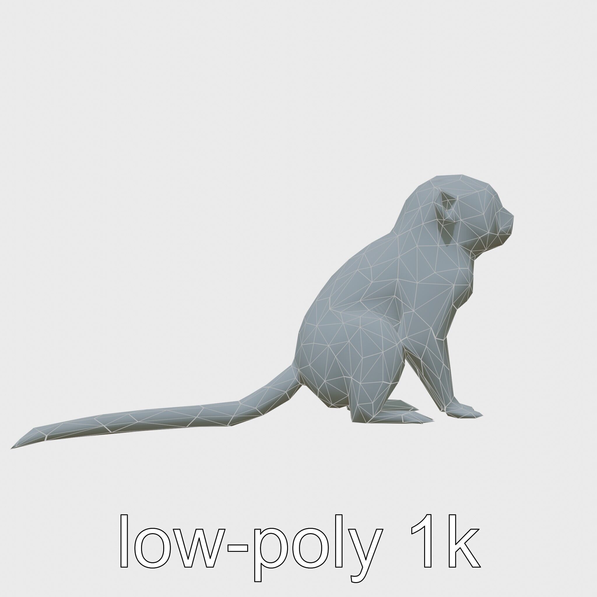 Miniature Marmoset with Soft Fur and Tufted Ears 3D Model Low-poly 3D model_16