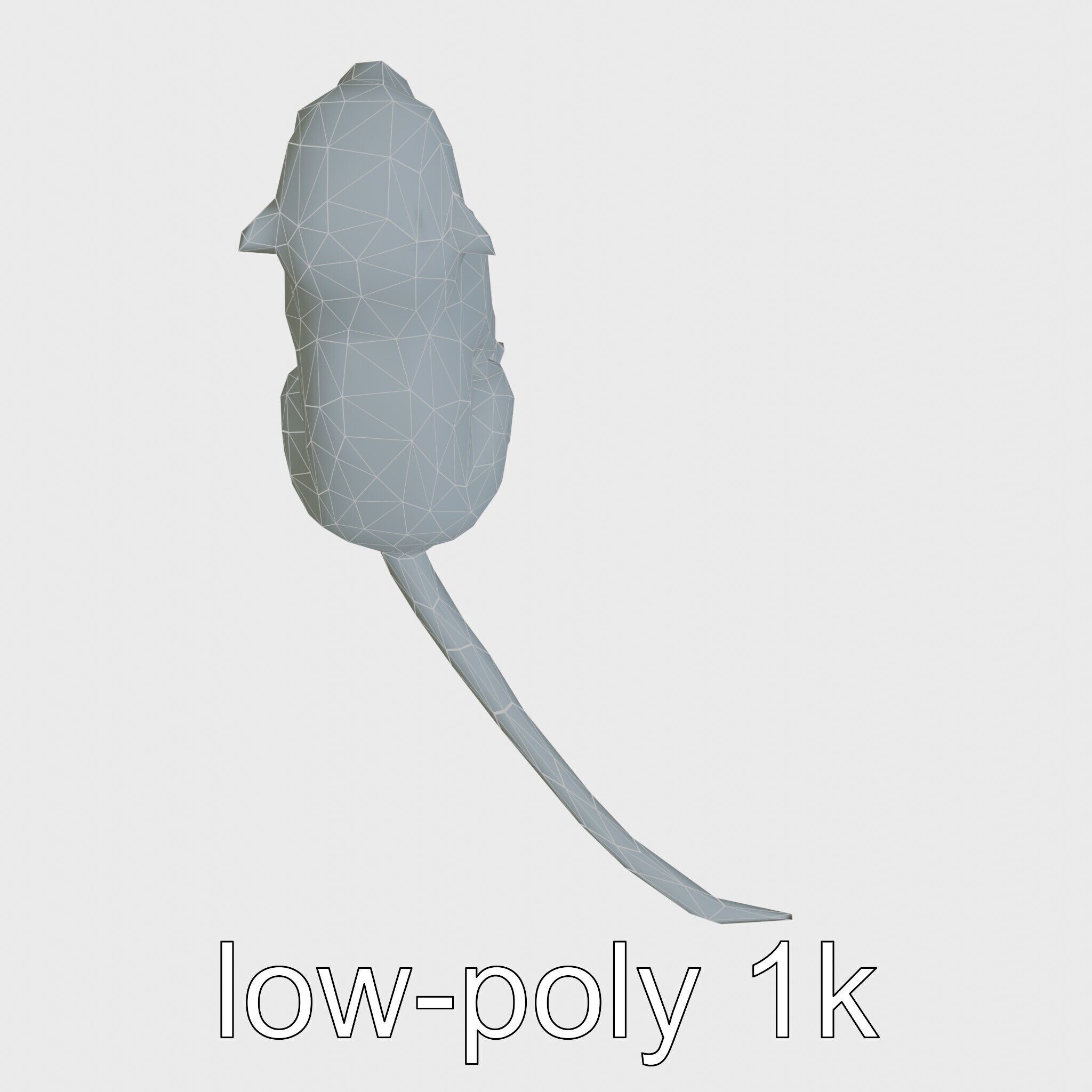 Miniature Marmoset with Soft Fur and Tufted Ears 3D Model Low-poly 3D model_21