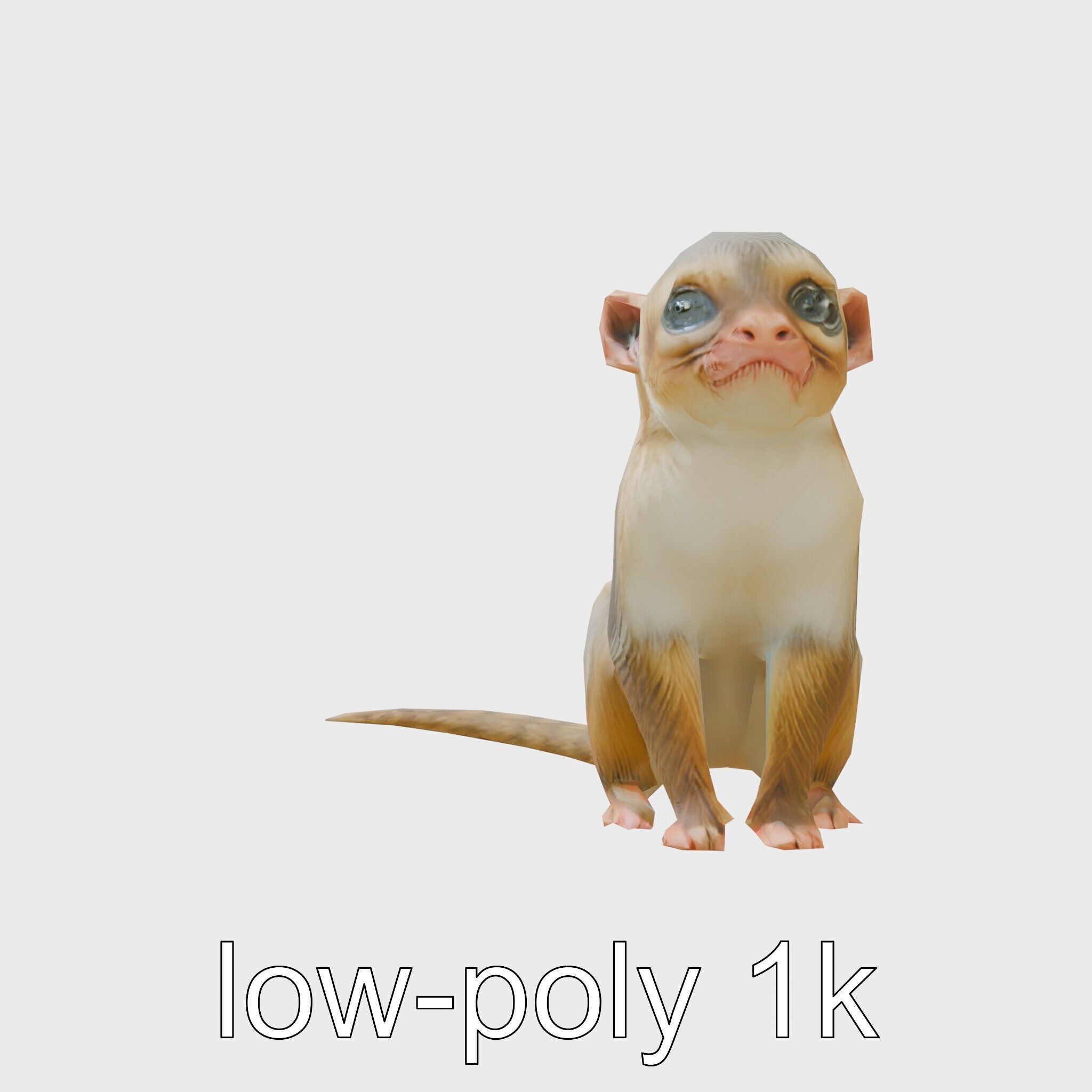 Miniature Marmoset with Soft Fur and Tufted Ears 3D Model Low-poly 3D model_7