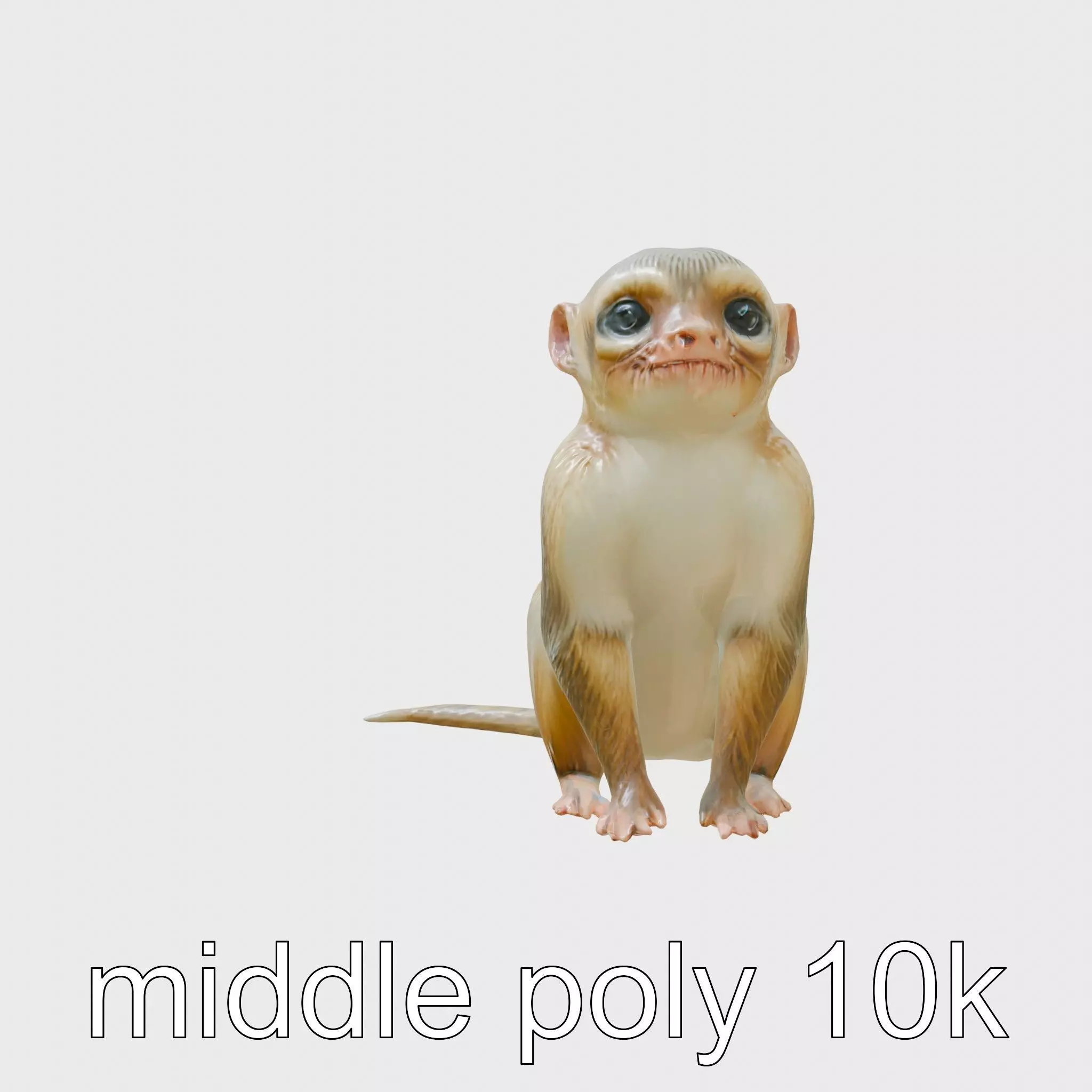 Miniature Marmoset with Soft Fur and Tufted Ears 3D Model Low-poly 3D model_0