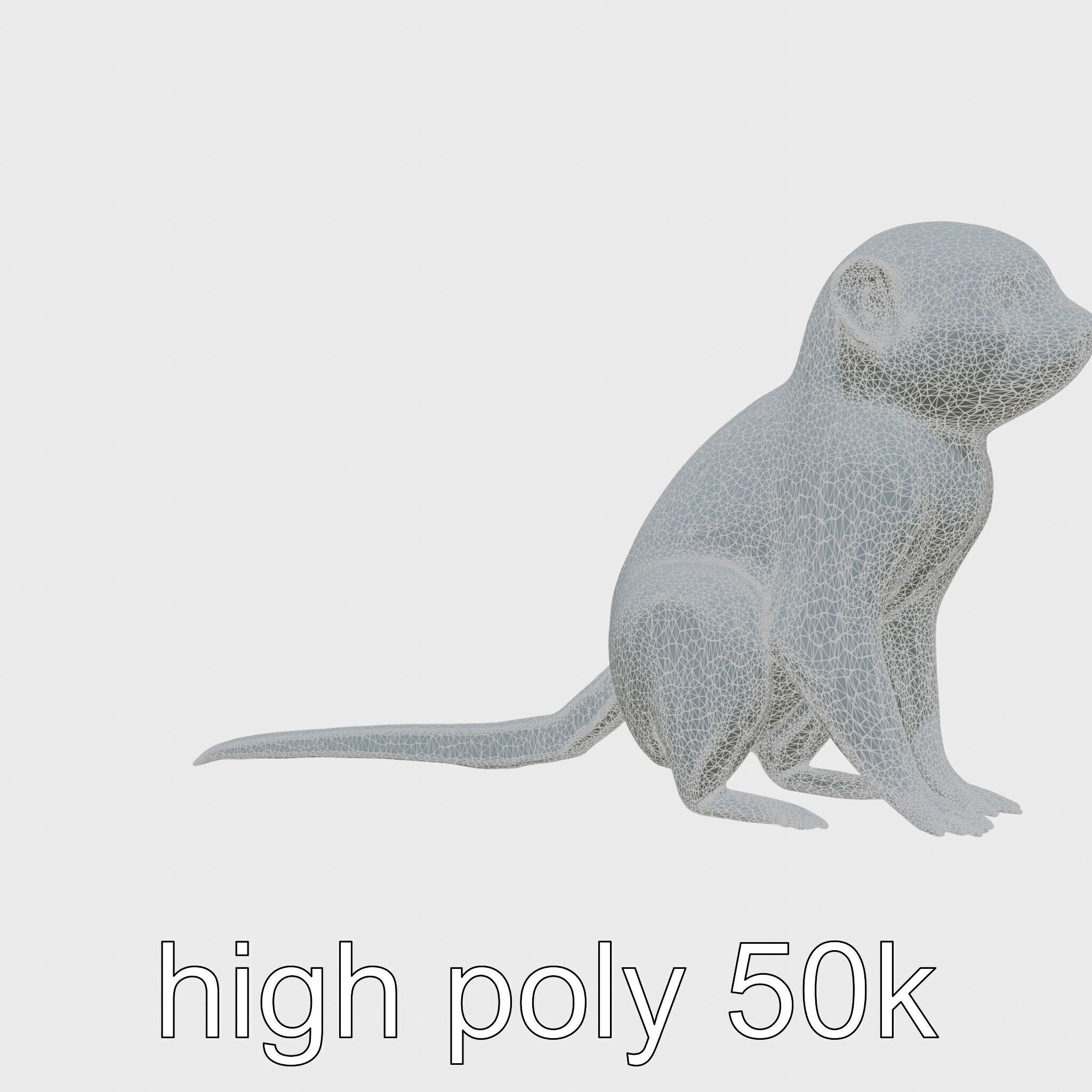 Miniature Marmoset with Soft Fur and Tufted Ears 3D Model Low-poly 3D model_8