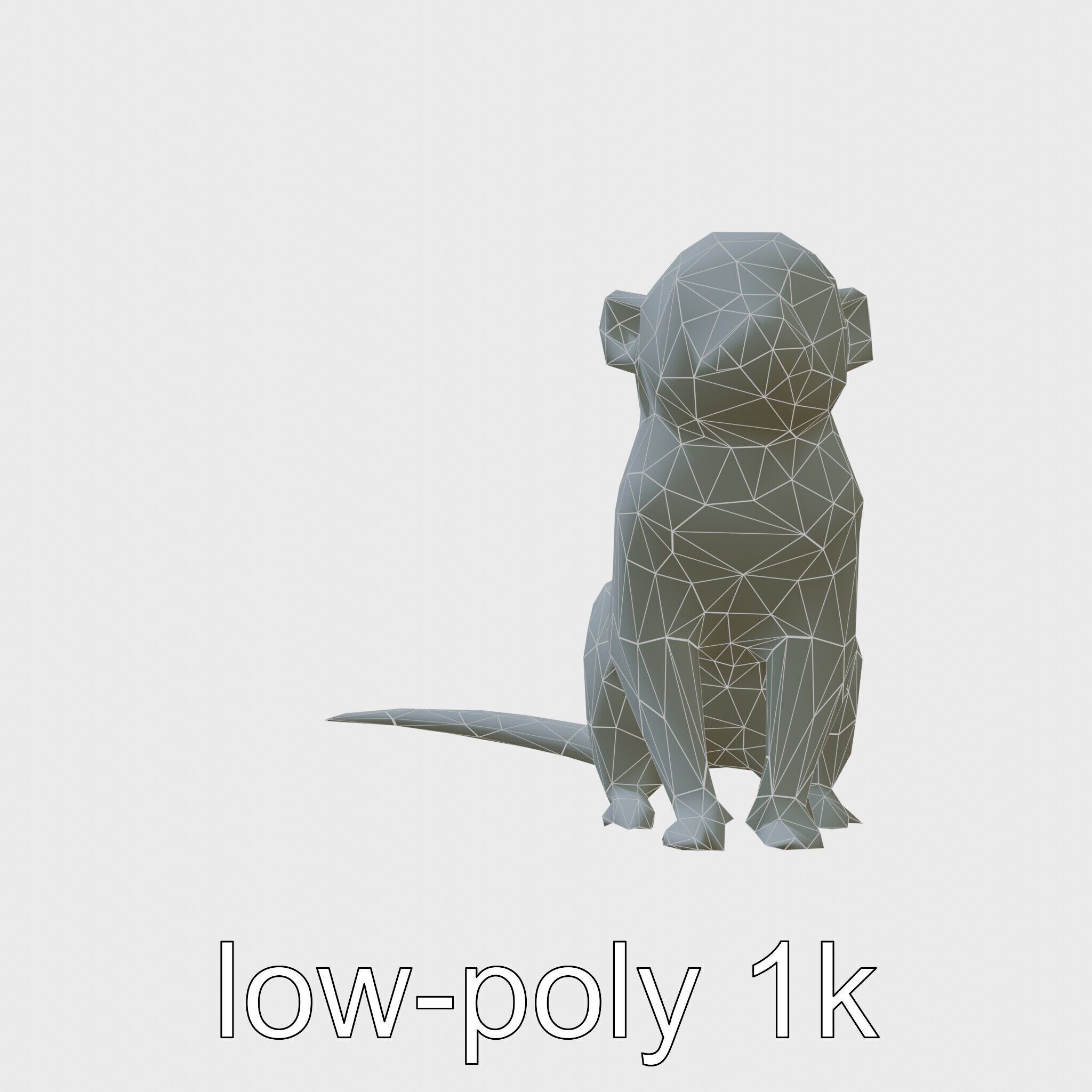 Miniature Marmoset with Soft Fur and Tufted Ears 3D Model Low-poly 3D model_10