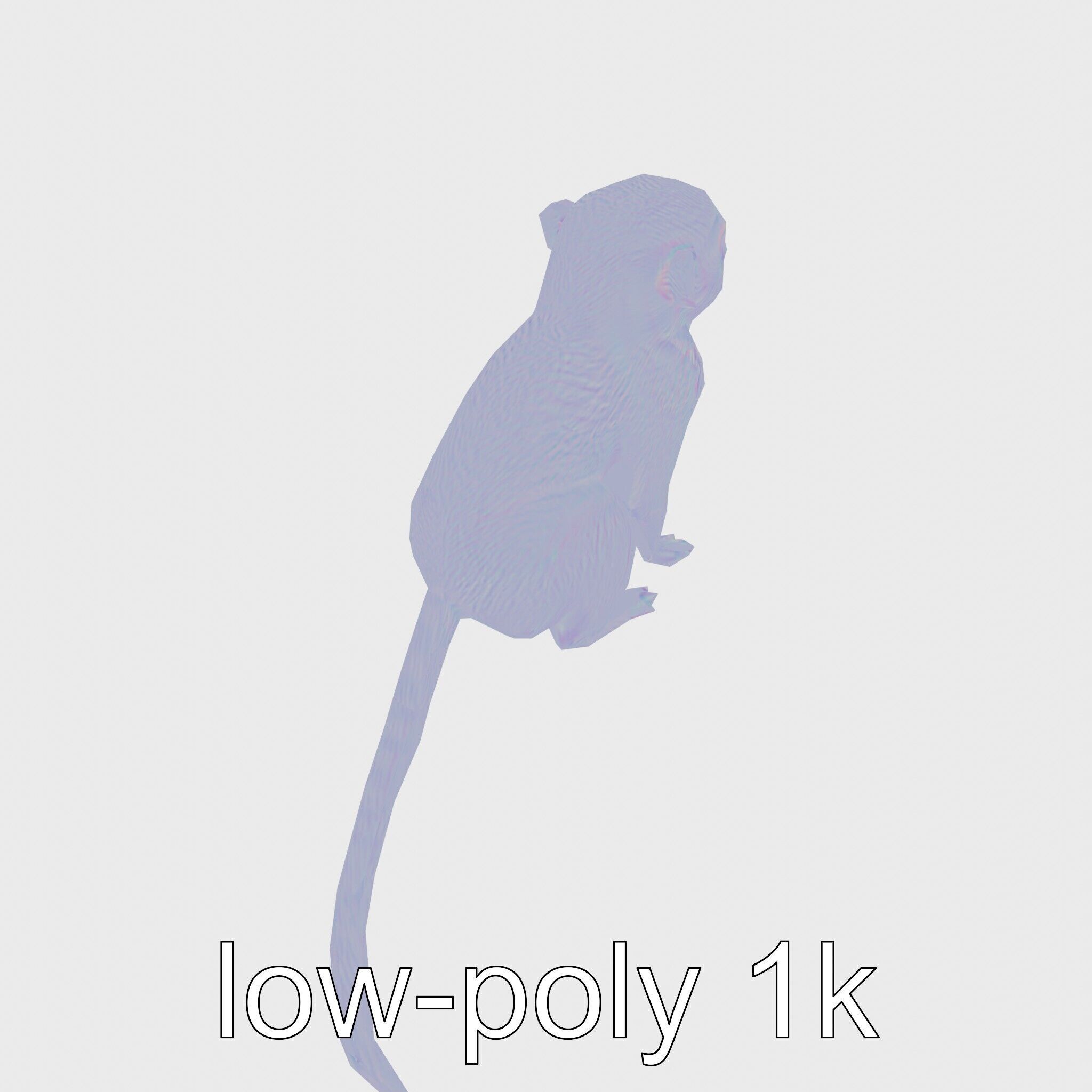 Miniature Marmoset with Soft Fur and Tufted Ears 3D Model Low-poly 3D model_15