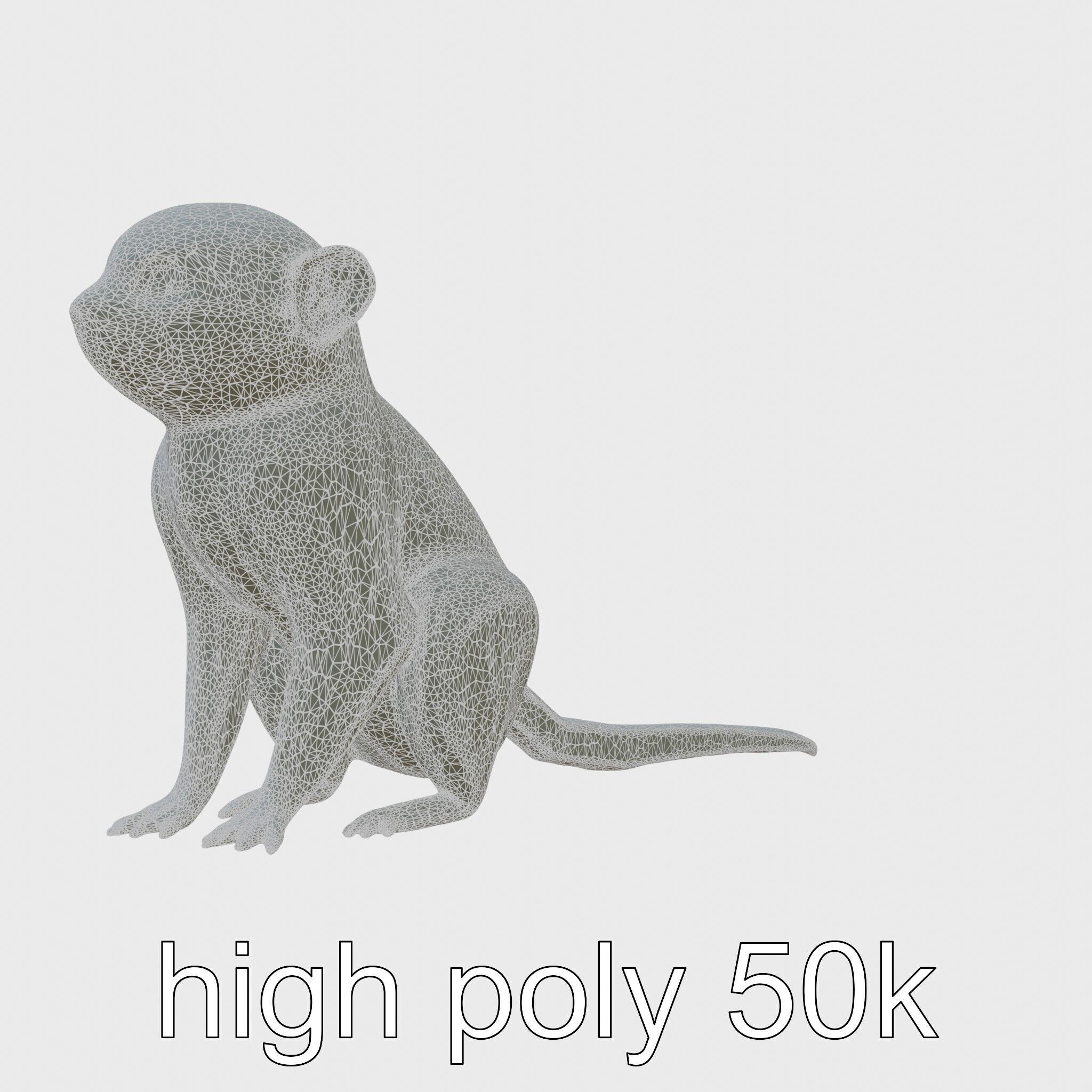 Miniature Marmoset with Soft Fur and Tufted Ears 3D Model Low-poly 3D model_31