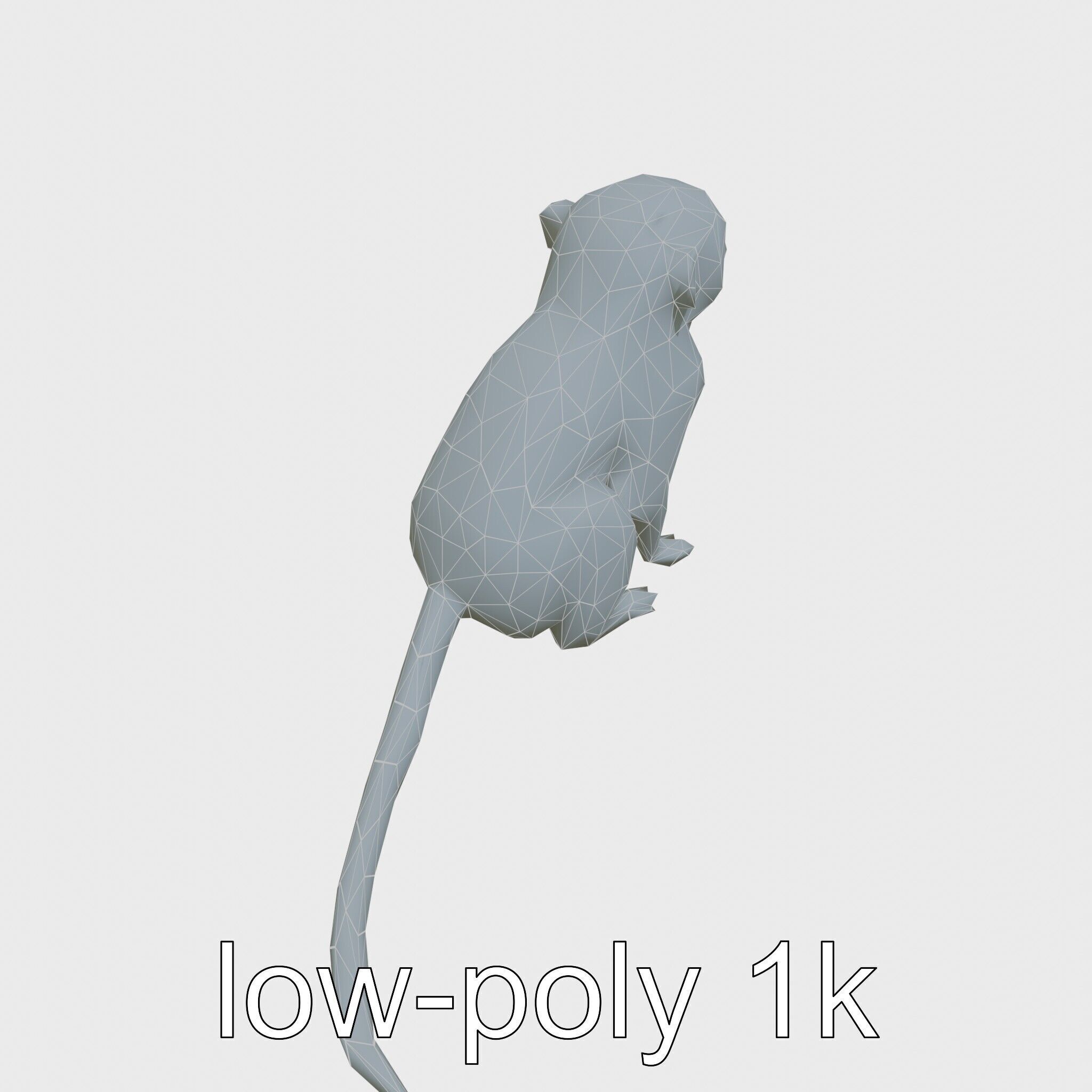 Miniature Marmoset with Soft Fur and Tufted Ears 3D Model Low-poly 3D model_29