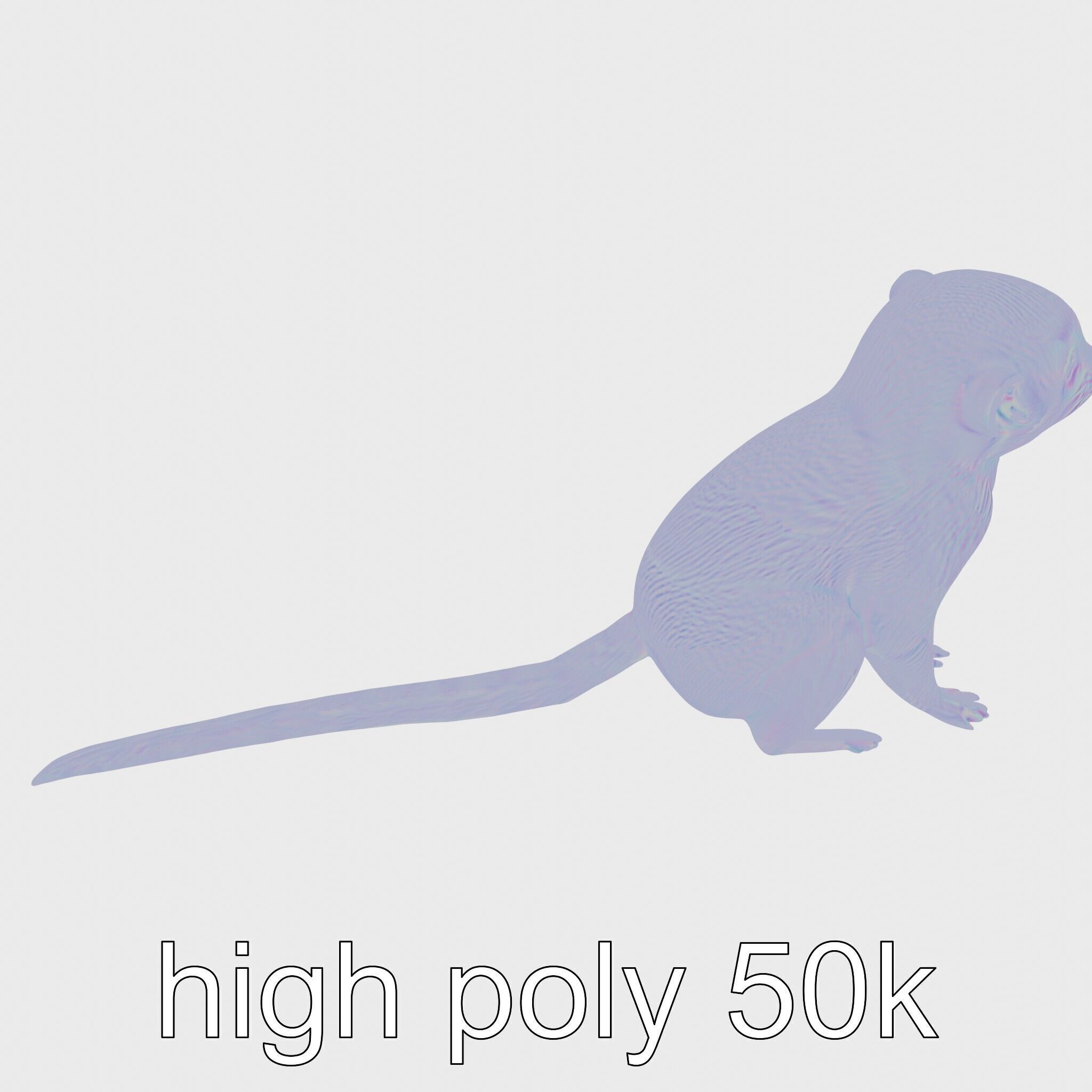 Miniature Marmoset with Soft Fur and Tufted Ears 3D Model Low-poly 3D model_19