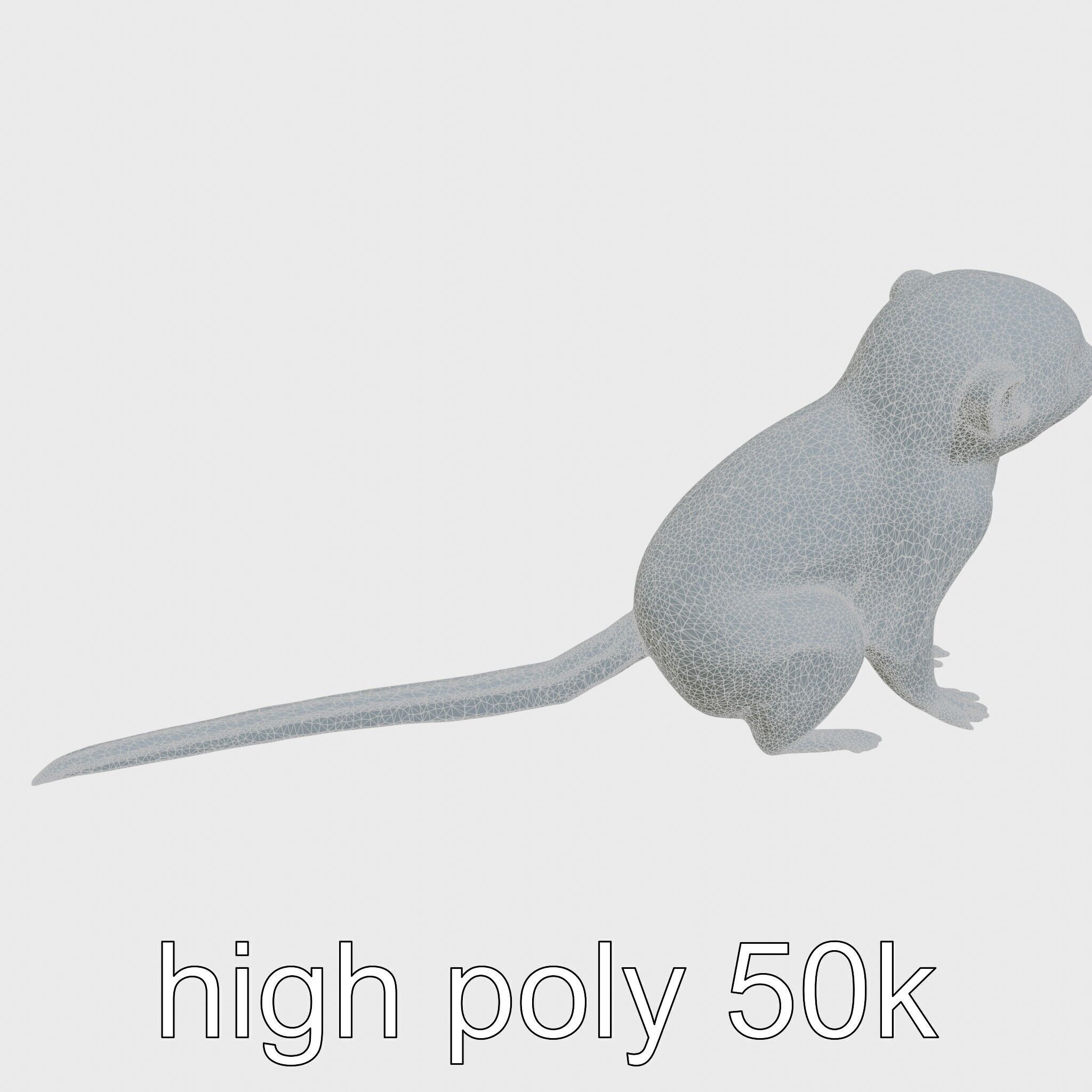 Miniature Marmoset with Soft Fur and Tufted Ears 3D Model Low-poly 3D model_25