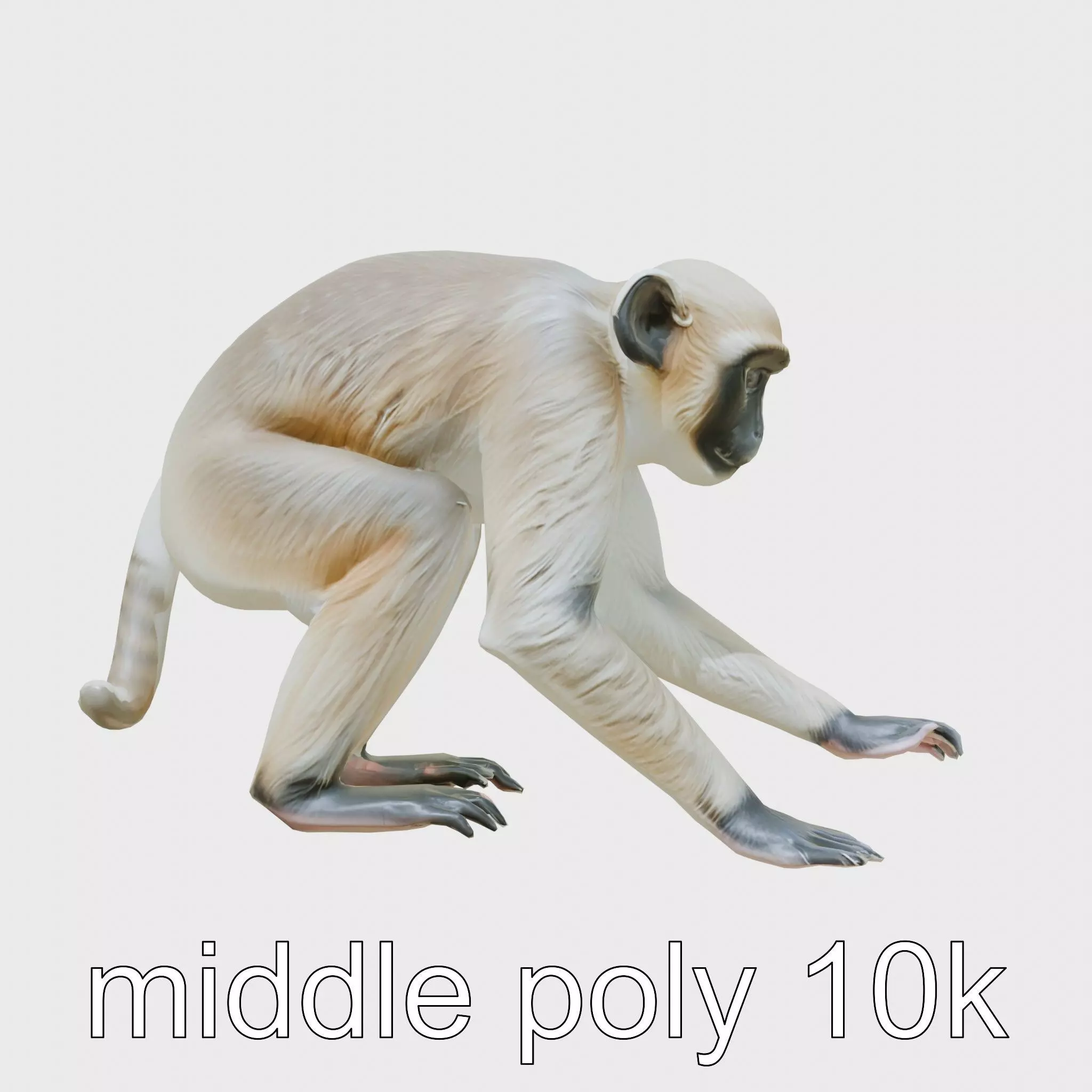 Gibbon 3D Model with Textured Fur and Limbs Low-poly 3D model