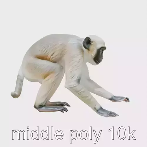 Gibbon 3D Model with Textured Fur and Limbs