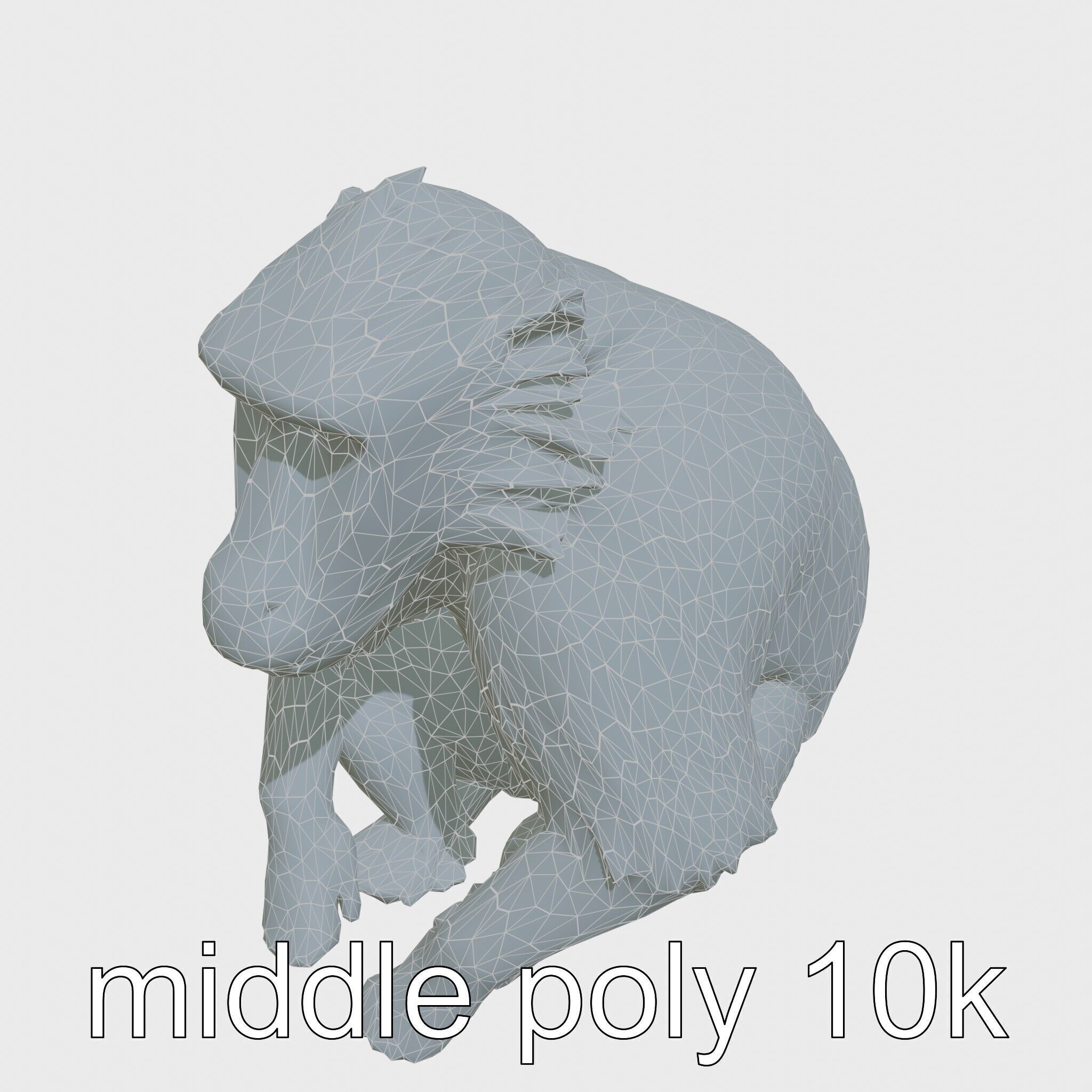 Hamadryas Baboon 3D Model with Detailed Manes and Pink Face Low-poly 3D model_18