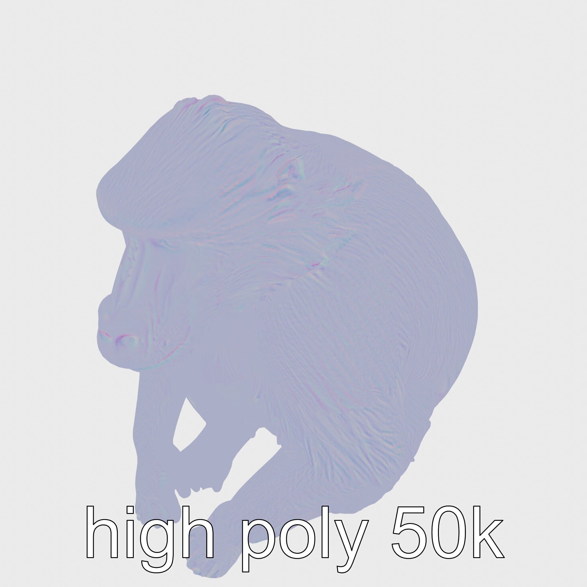 Hamadryas Baboon 3D Model with Detailed Manes and Pink Face Low-poly 3D model_22