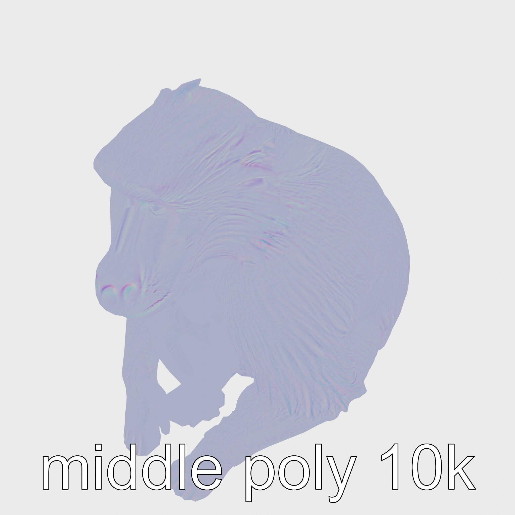 Hamadryas Baboon 3D Model with Detailed Manes and Pink Face Low-poly 3D model_23