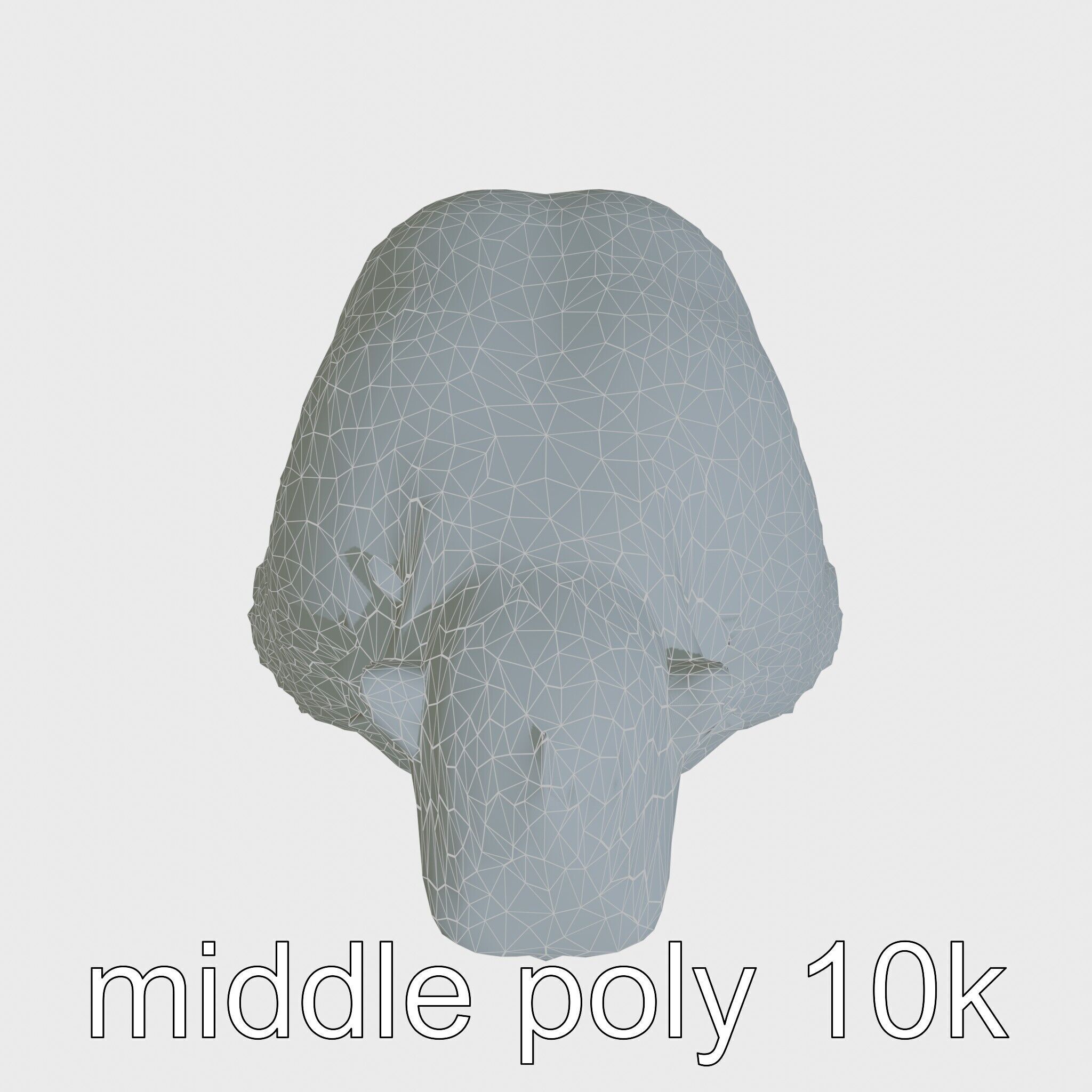 Hamadryas Baboon 3D Model with Detailed Manes and Pink Face Low-poly 3D model_27