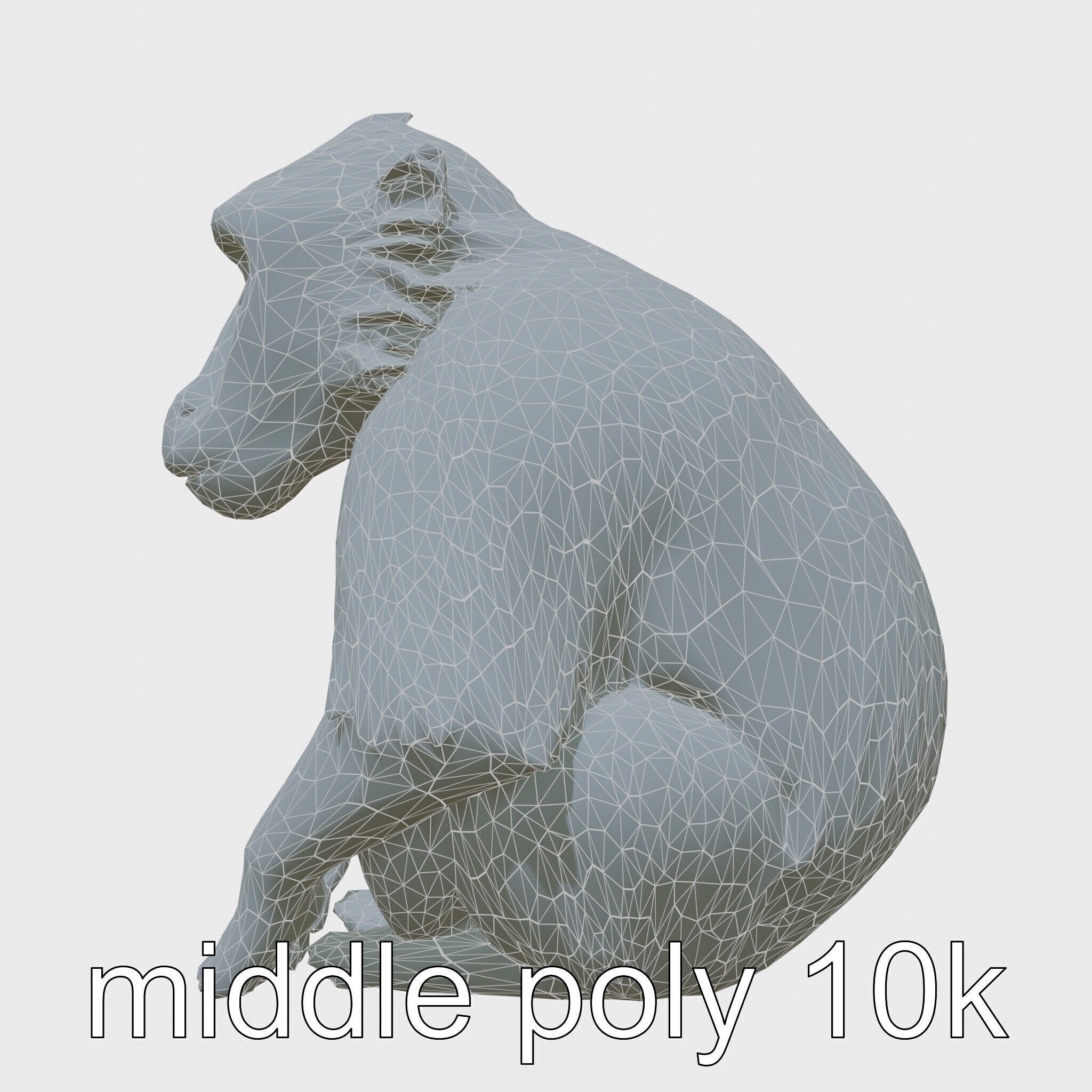 Hamadryas Baboon 3D Model with Detailed Manes and Pink Face Low-poly 3D model_28