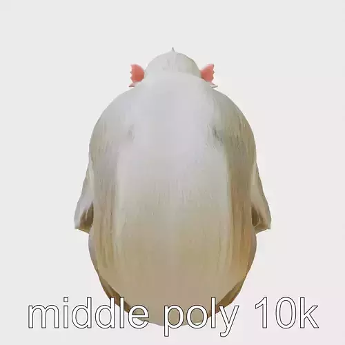 Hamadryas Baboon 3D Model with Detailed Manes and Pink Face