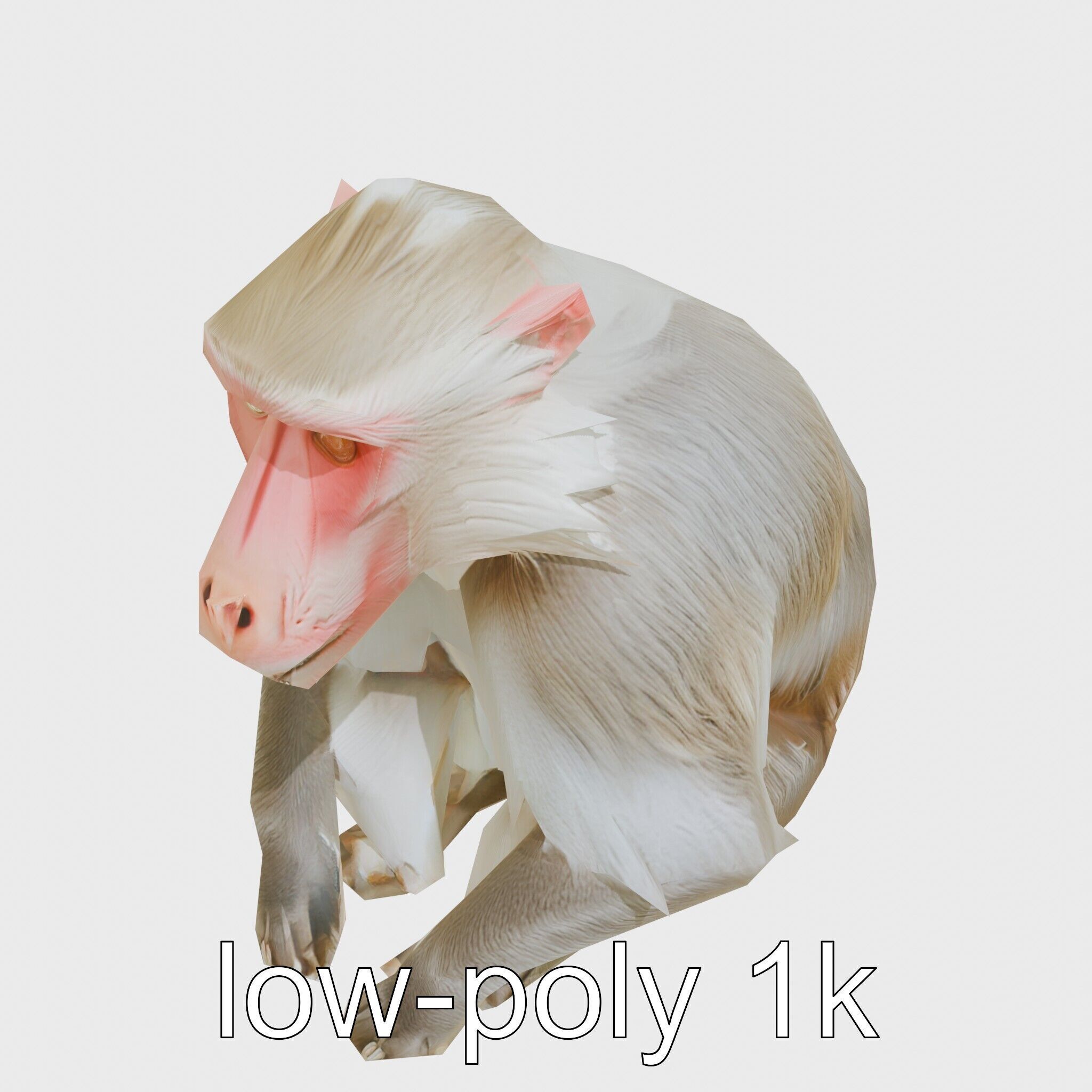 Hamadryas Baboon 3D Model with Detailed Manes and Pink Face Low-poly 3D model_24