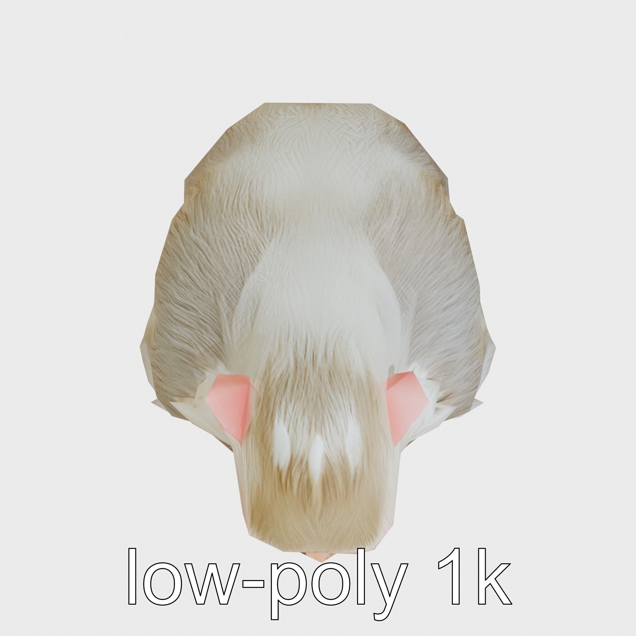 Hamadryas Baboon 3D Model with Detailed Manes and Pink Face Low-poly 3D model_19