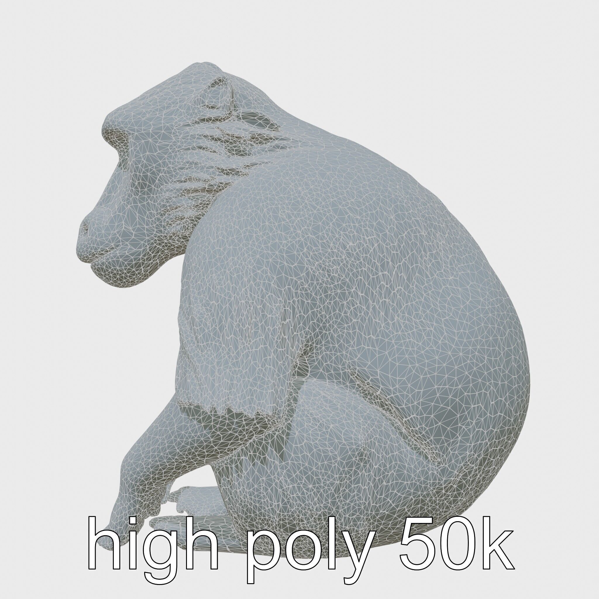 Hamadryas Baboon 3D Model with Detailed Manes and Pink Face Low-poly 3D model_31