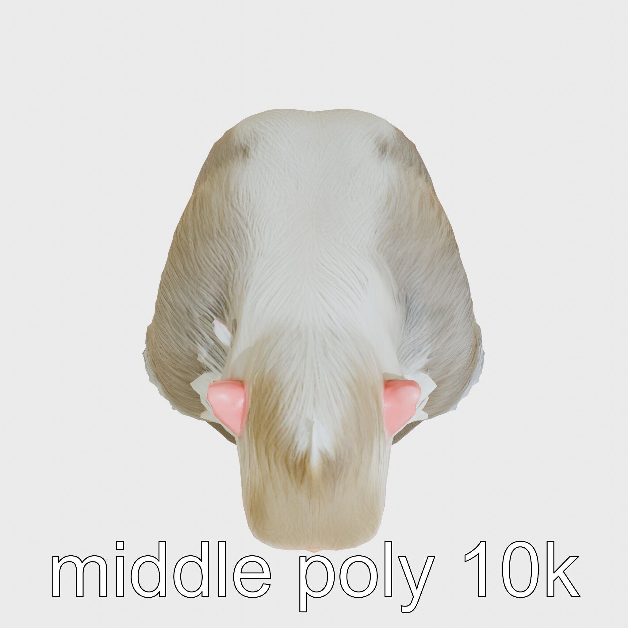 Hamadryas Baboon 3D Model with Detailed Manes and Pink Face Low-poly 3D model_17