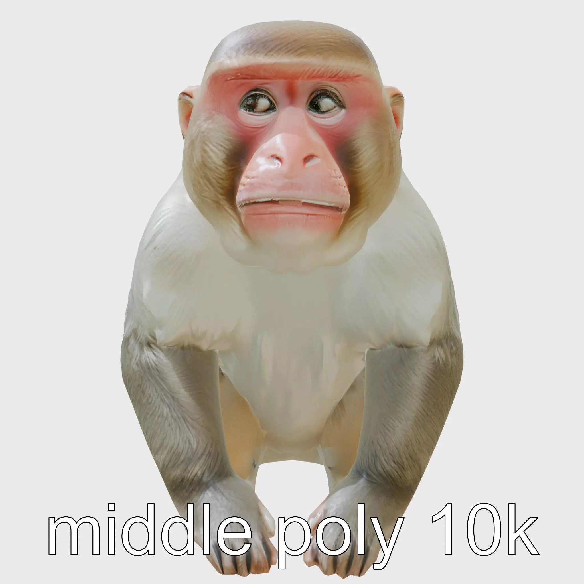 Japanese Macaque 3D Model with Detailed Winter Coat Low-poly 3D model