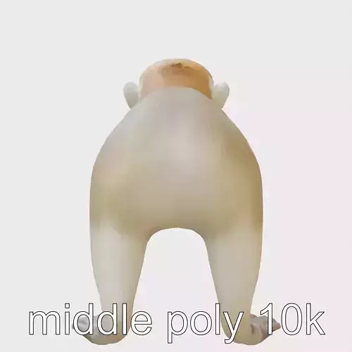 Golden Tamarin Monkey with Striking Mane 3D Model