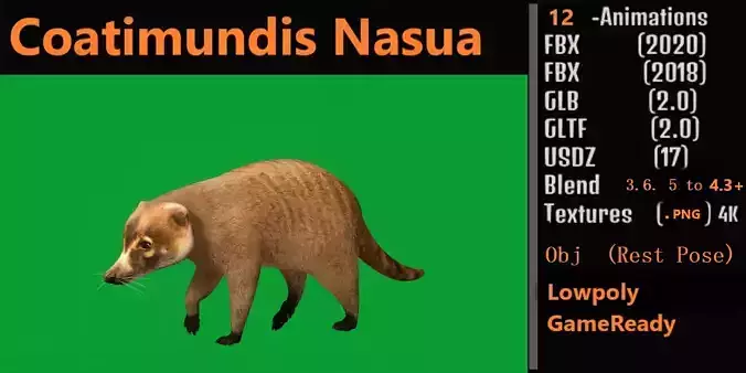 Coatis Coatimundis Nasus Low-poly 3D model