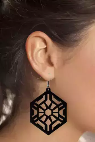 Earrings Modern Minimalist