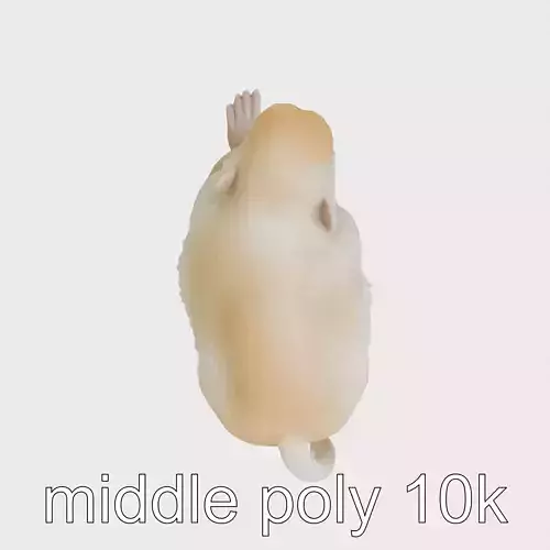 Realistic Macaque Monkey 3D Model