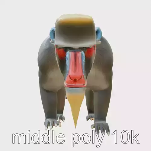 Vibrant Mandrill 3D Model with Blue and Red Markings