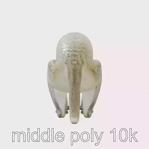 Realistic Vervet Monkey 3D Model with Detailed Fur