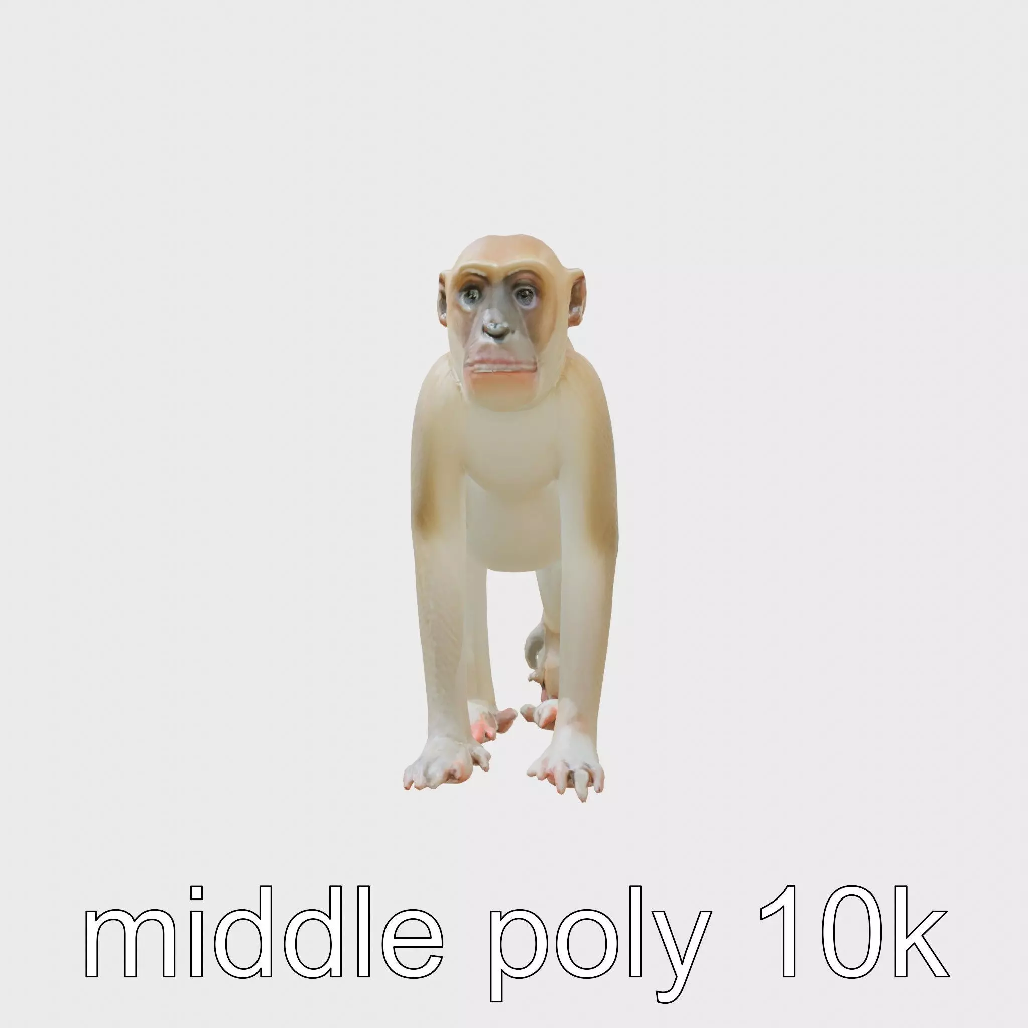 Patas Monkey Detailed 3D Model with Textured Fur Low-poly 3D model_0