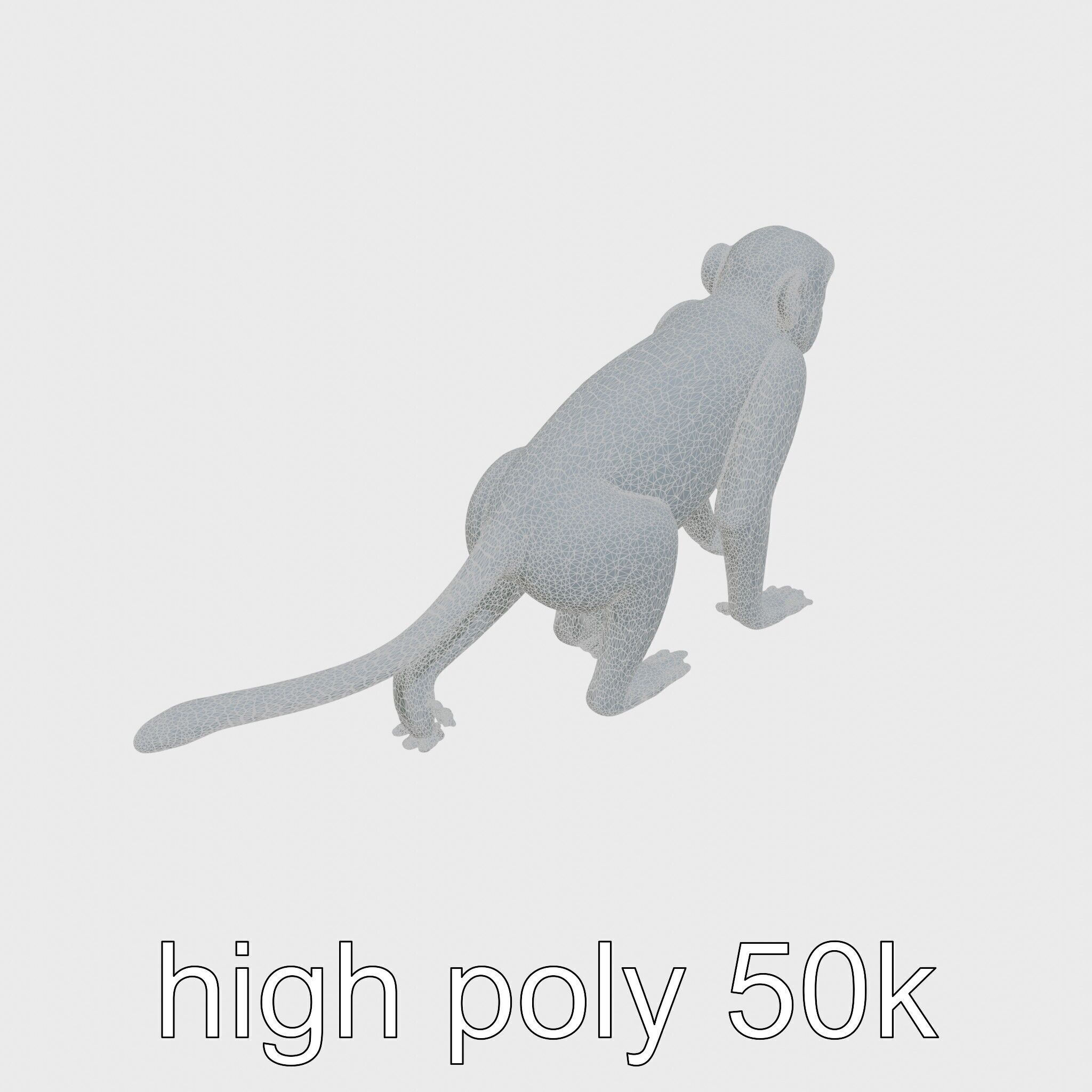 Patas Monkey Detailed 3D Model with Textured Fur Low-poly 3D model_26