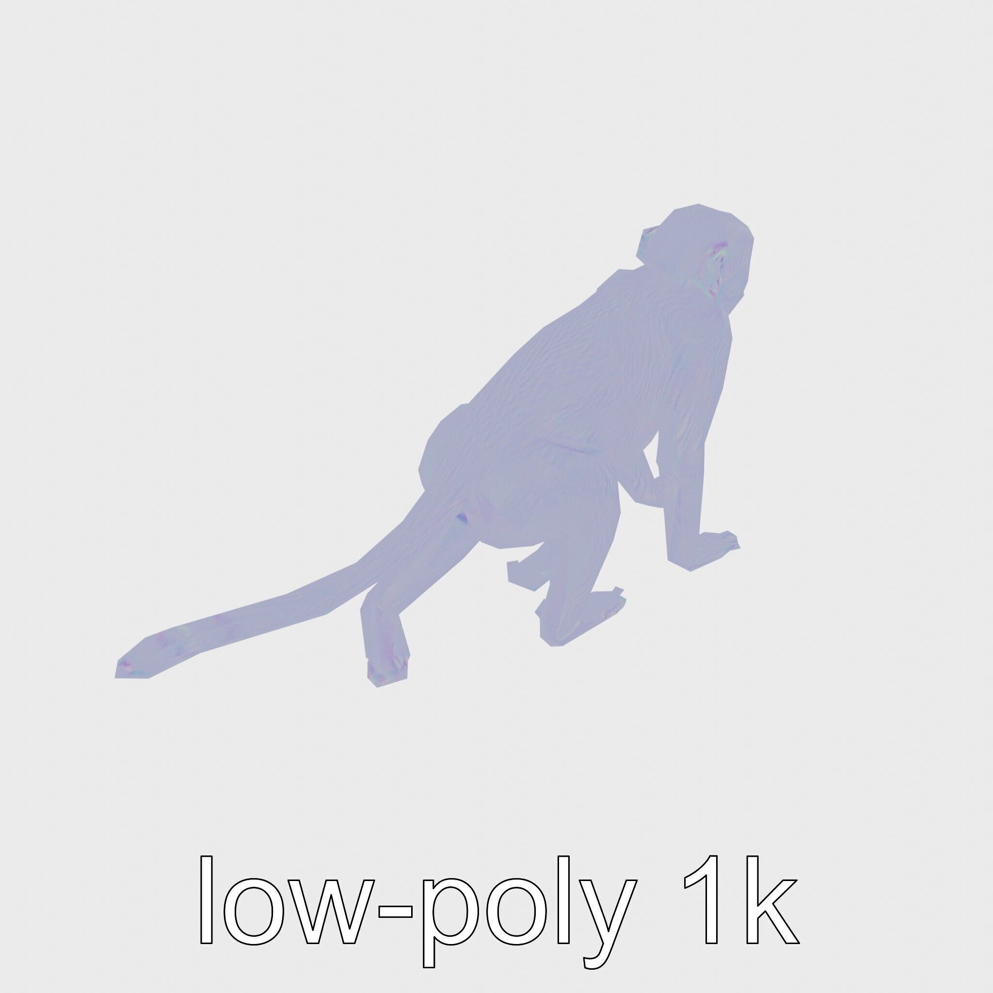 Patas Monkey Detailed 3D Model with Textured Fur Low-poly 3D model_20