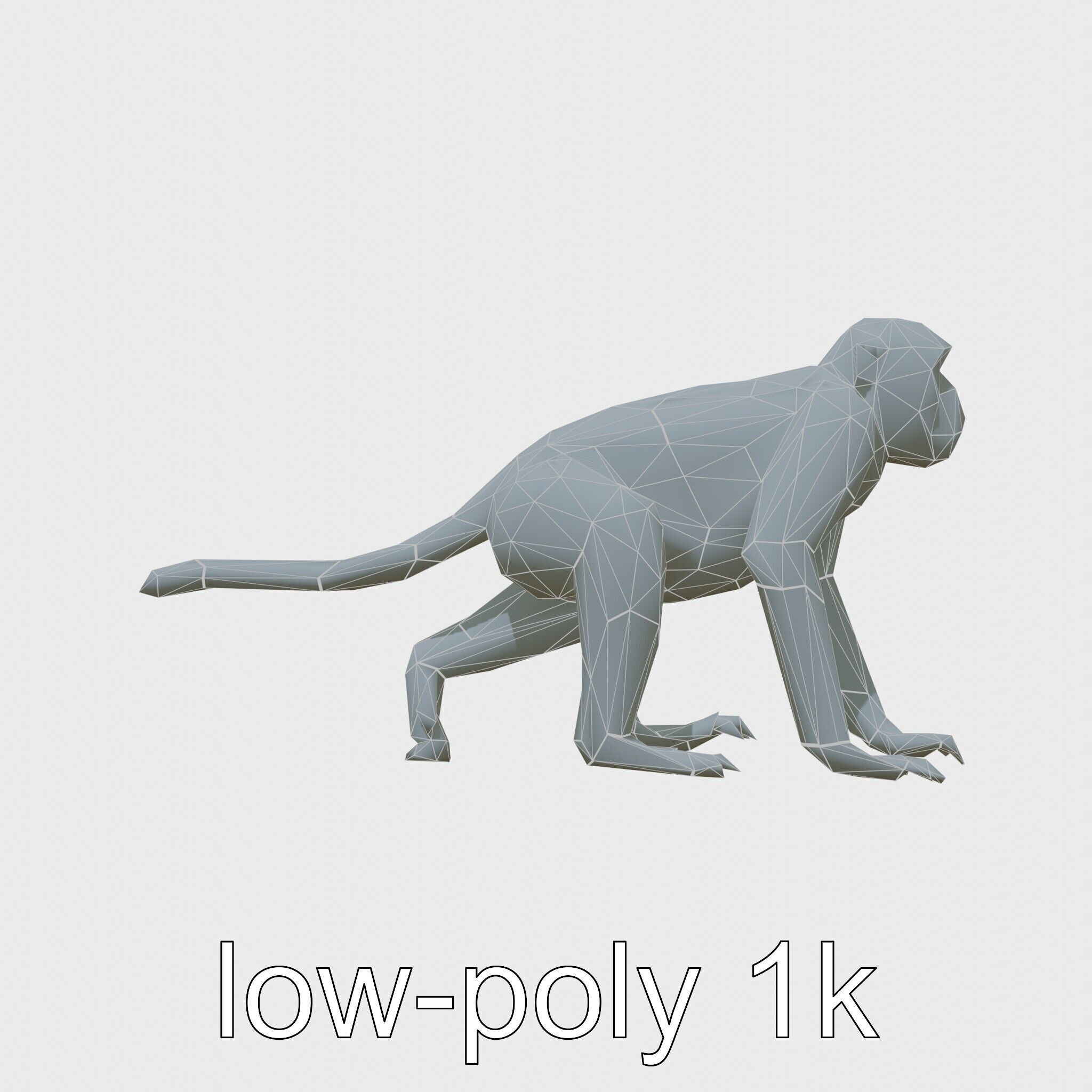 Patas Monkey Detailed 3D Model with Textured Fur Low-poly 3D model_10