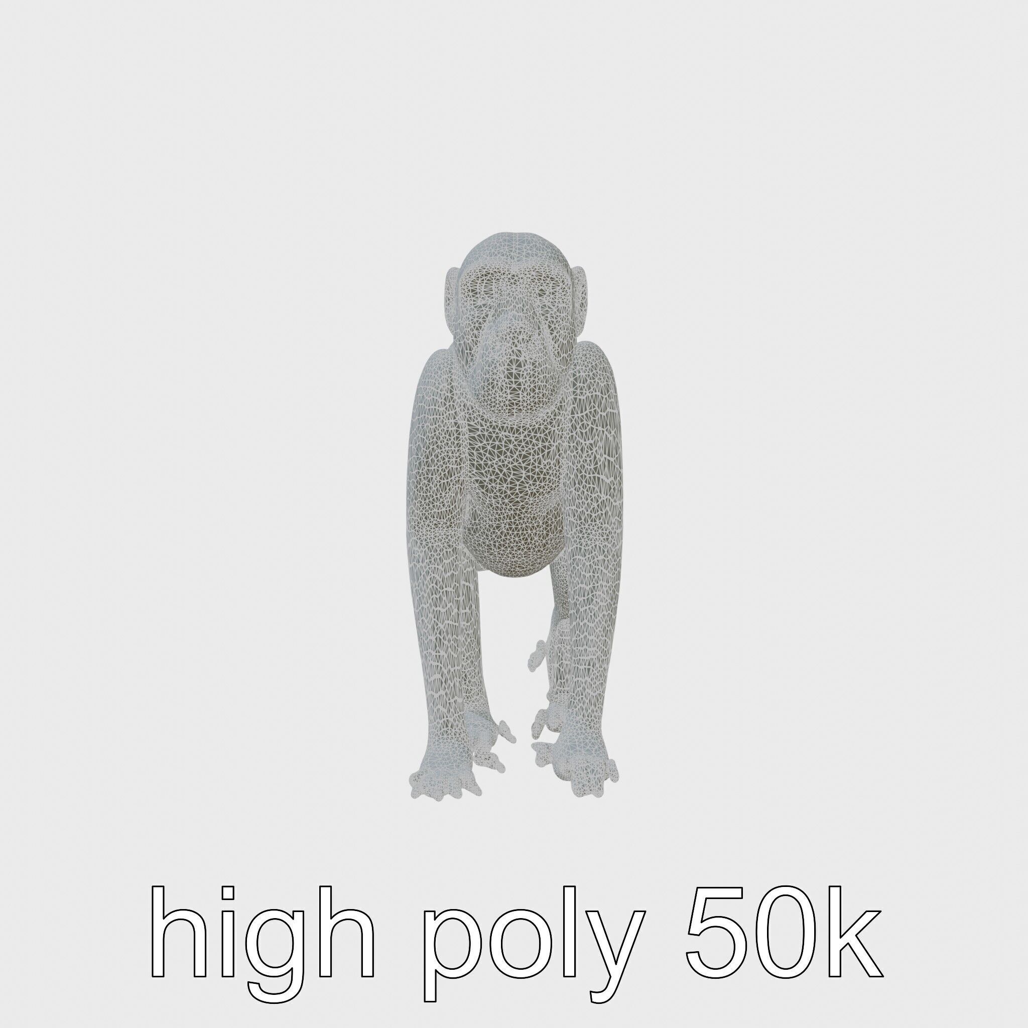 Patas Monkey Detailed 3D Model with Textured Fur Low-poly 3D model_27