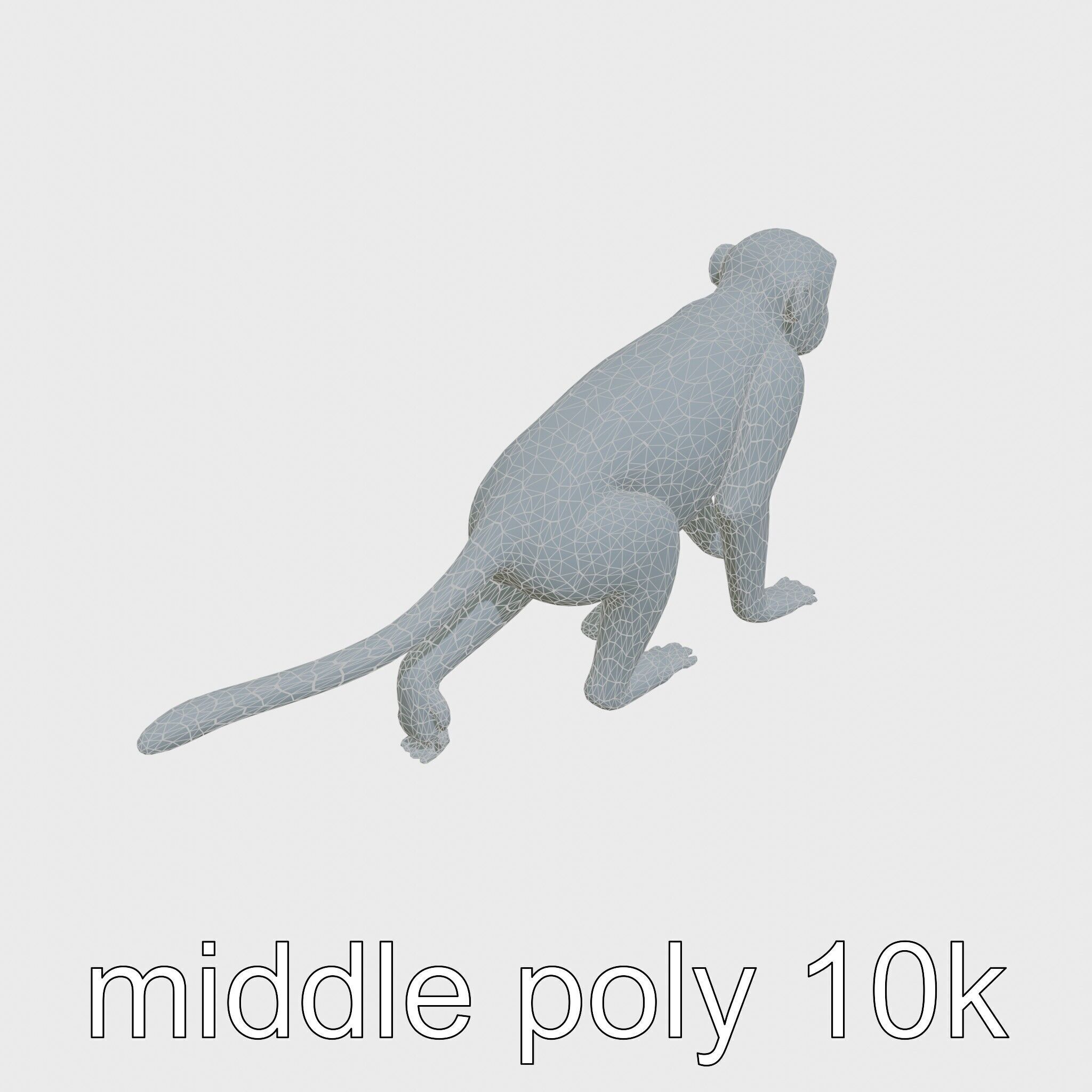 Patas Monkey Detailed 3D Model with Textured Fur Low-poly 3D model_14