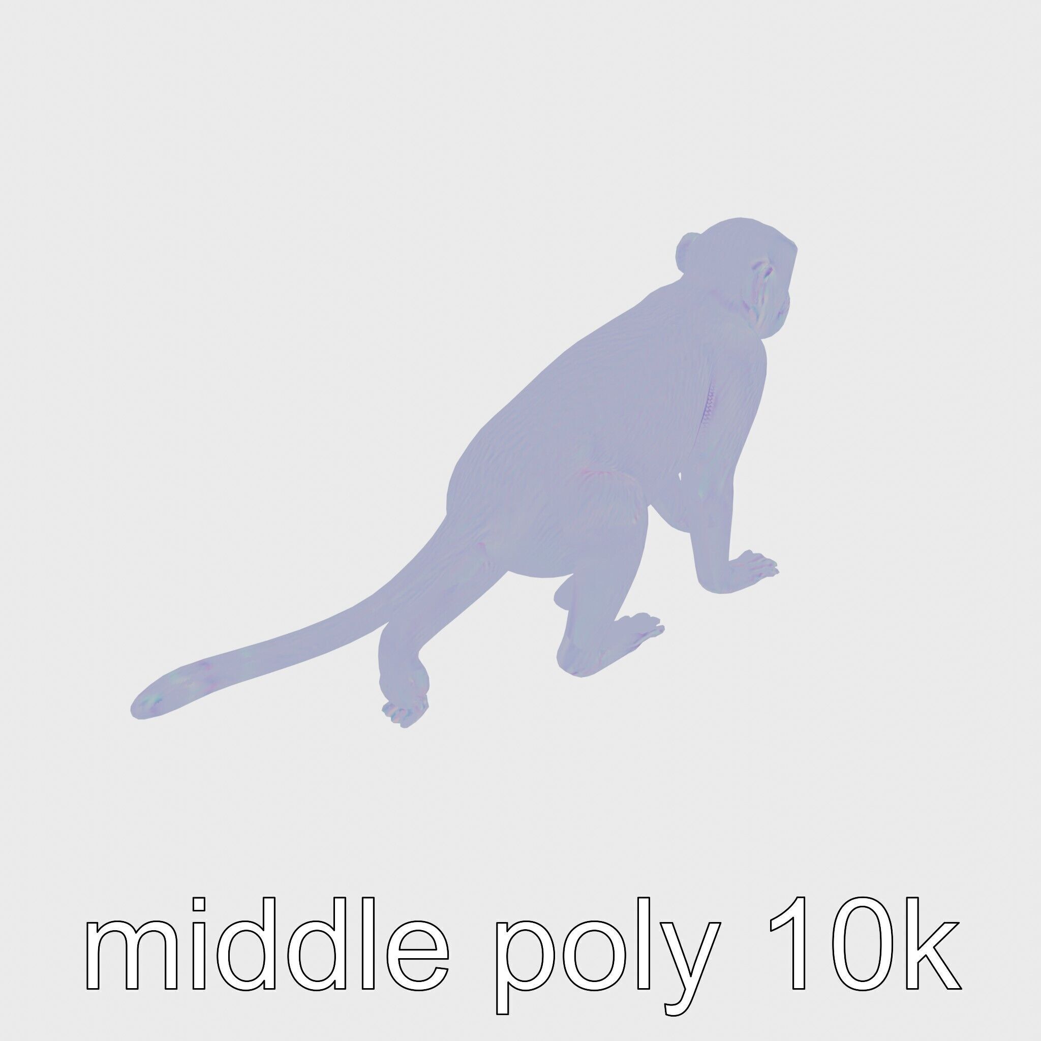 Patas Monkey Detailed 3D Model with Textured Fur Low-poly 3D model_18