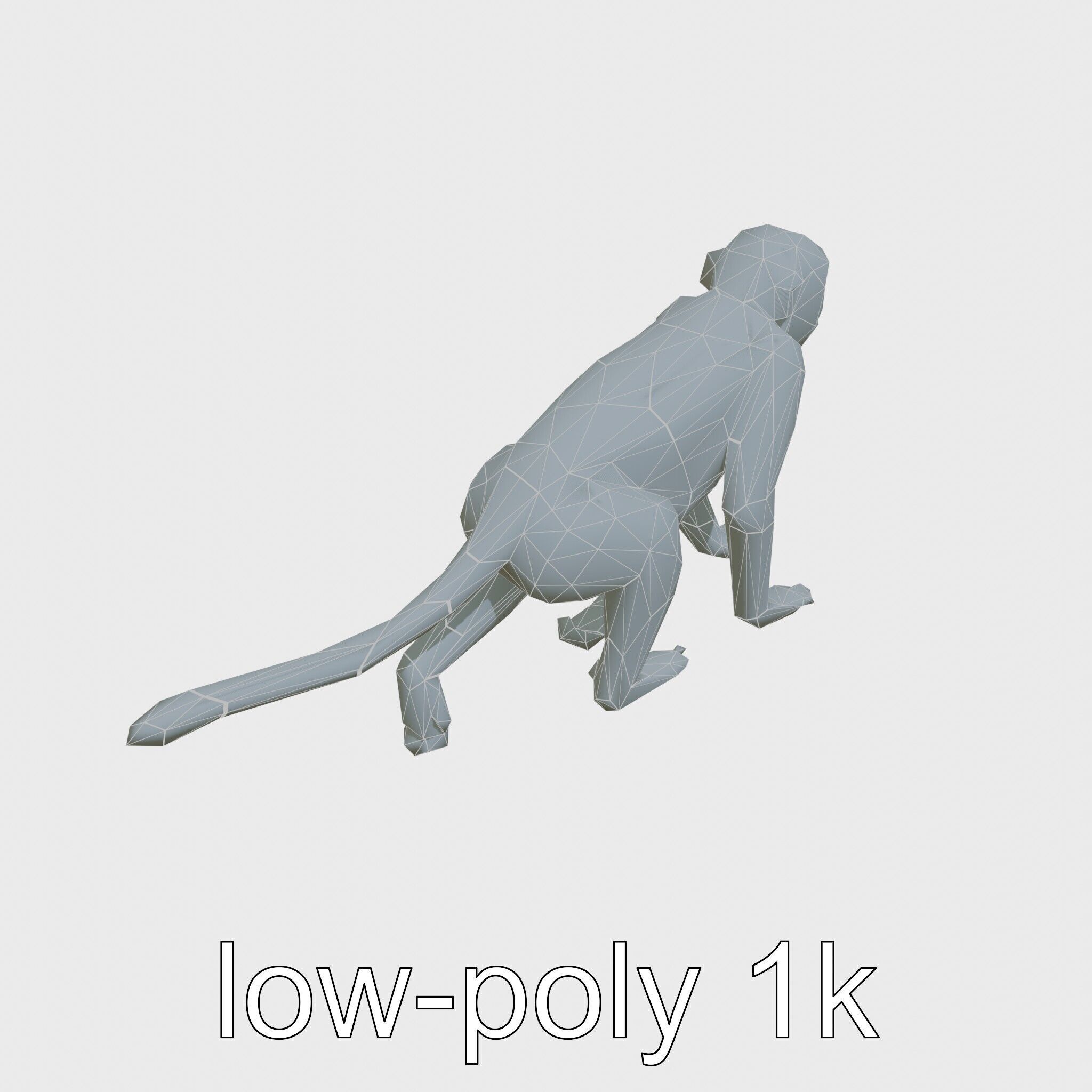 Patas Monkey Detailed 3D Model with Textured Fur Low-poly 3D model_31