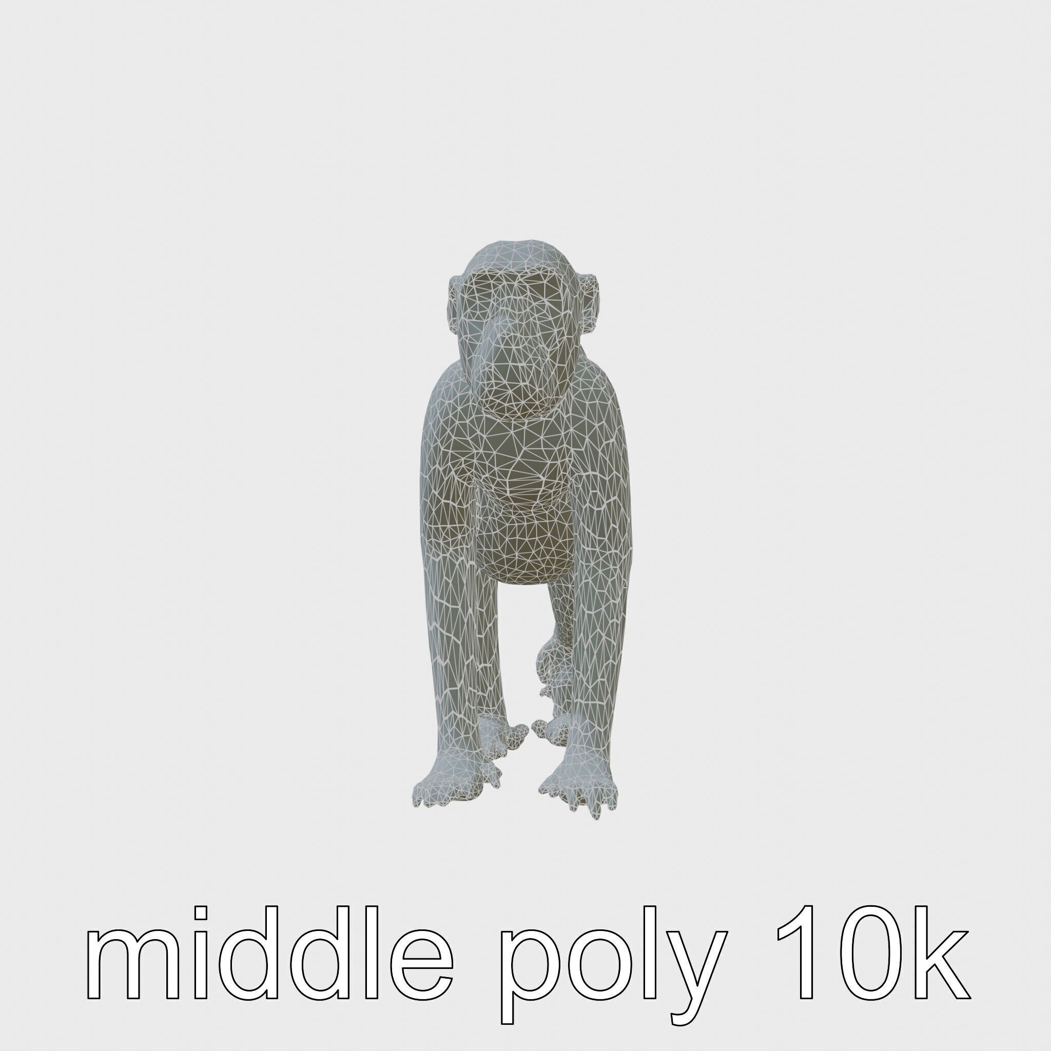 Patas Monkey Detailed 3D Model with Textured Fur Low-poly 3D model_9