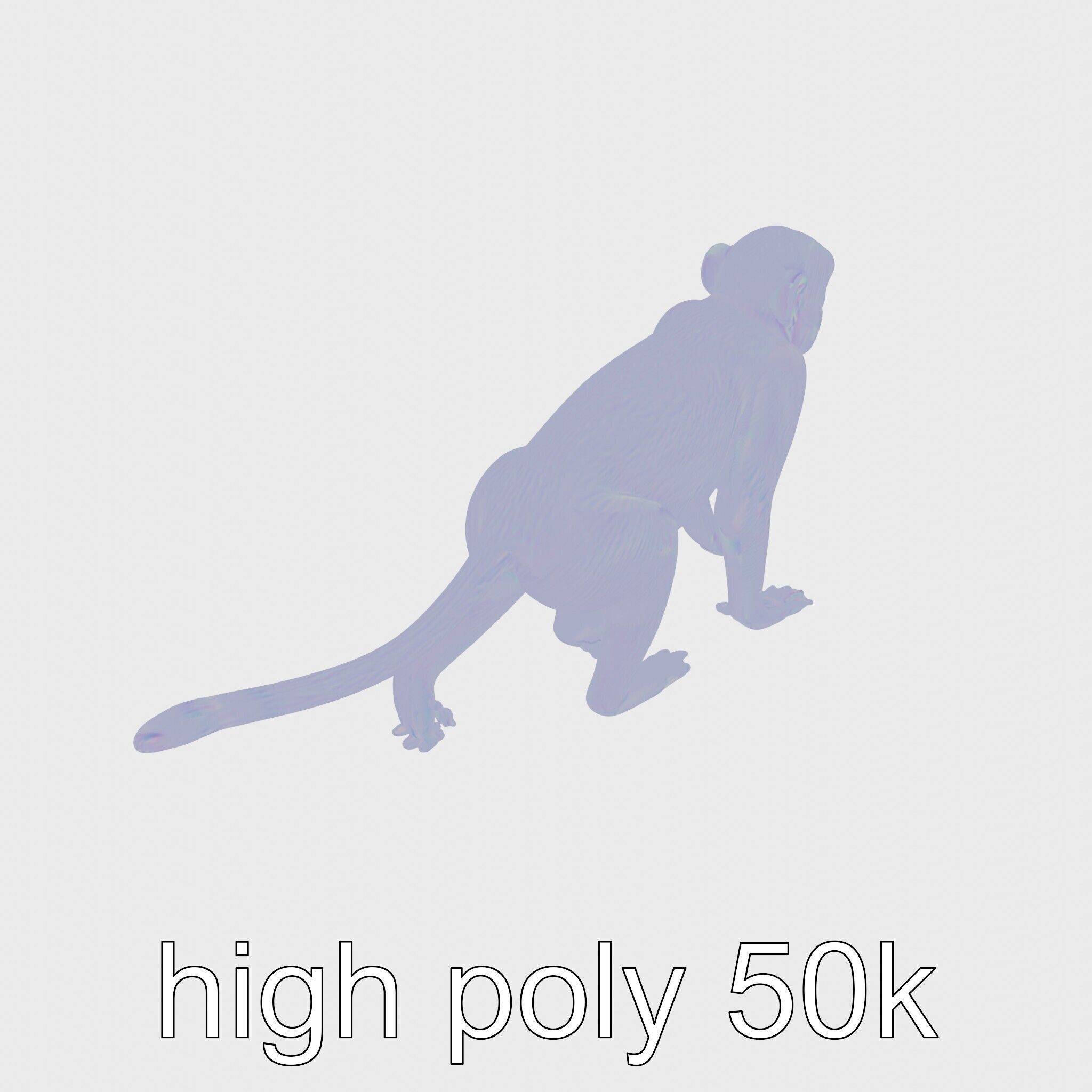Patas Monkey Detailed 3D Model with Textured Fur Low-poly 3D model_28
