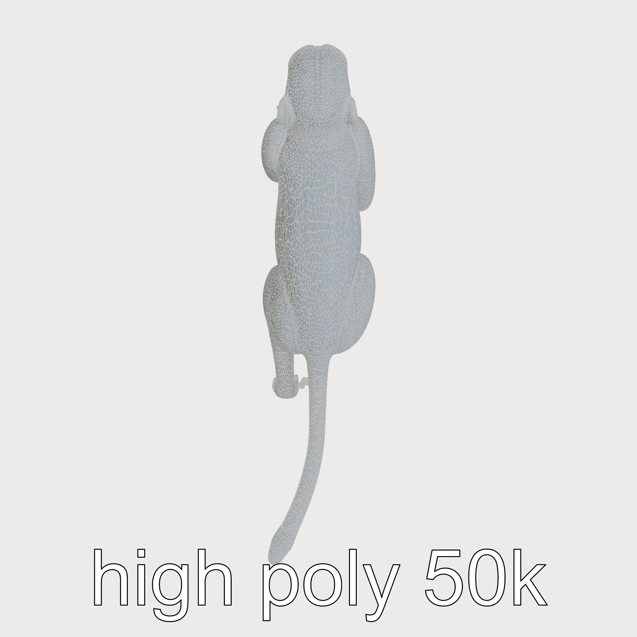 Patas Monkey Detailed 3D Model with Textured Fur Low-poly 3D model_16