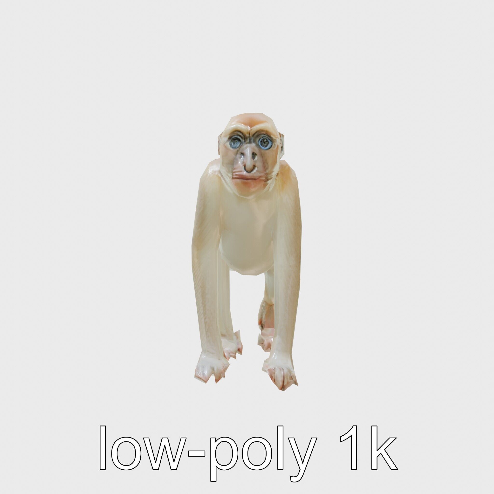 Patas Monkey Detailed 3D Model with Textured Fur Low-poly 3D model_17