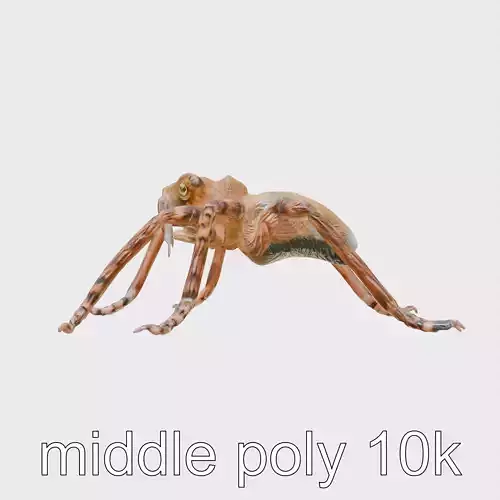 Spider Monkey Stylized Creature Model