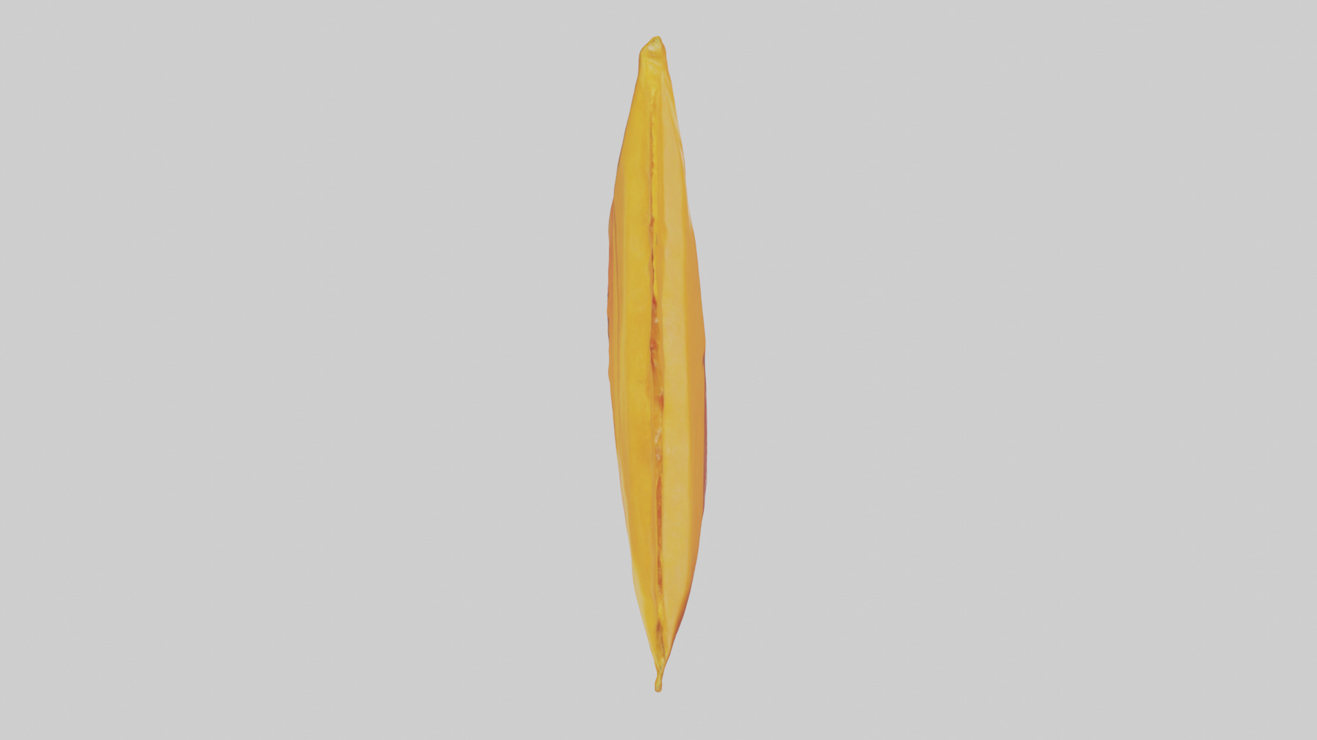Dried Mango Pack model 3D model_14