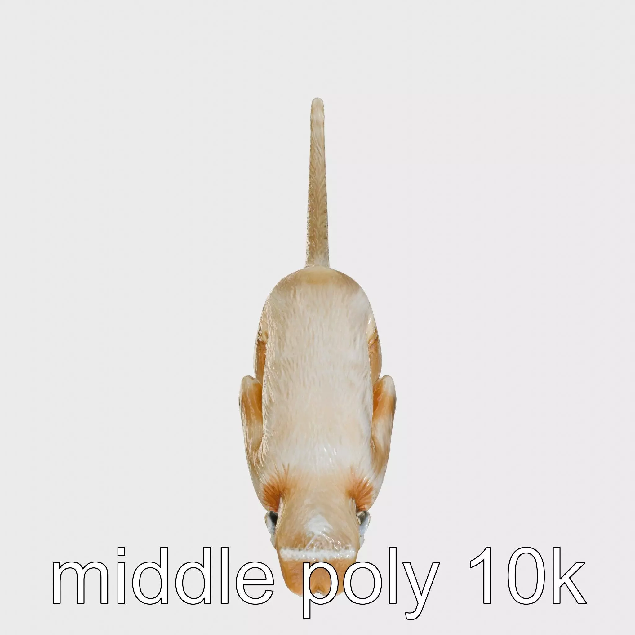 Howler Monkey 3D Model with Detailed Textures Low-poly 3D model