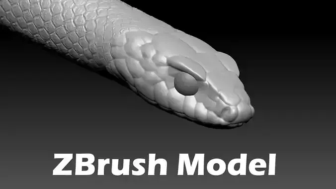 Black Snake Zbrush Model