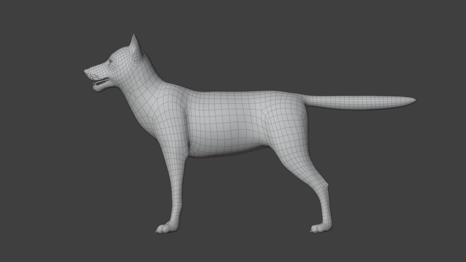 Dog - Husky Realistic Animated 3D model_18