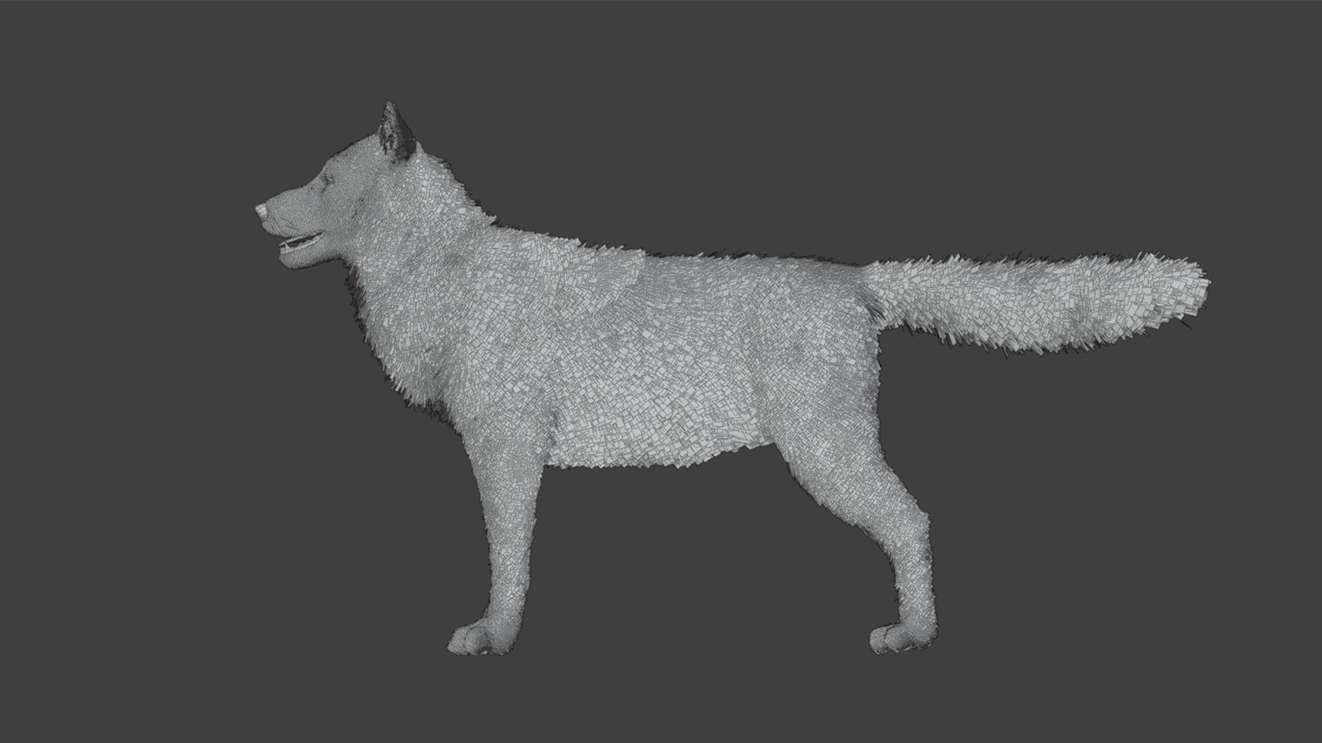 Dog - Husky Realistic Animated 3D model_20
