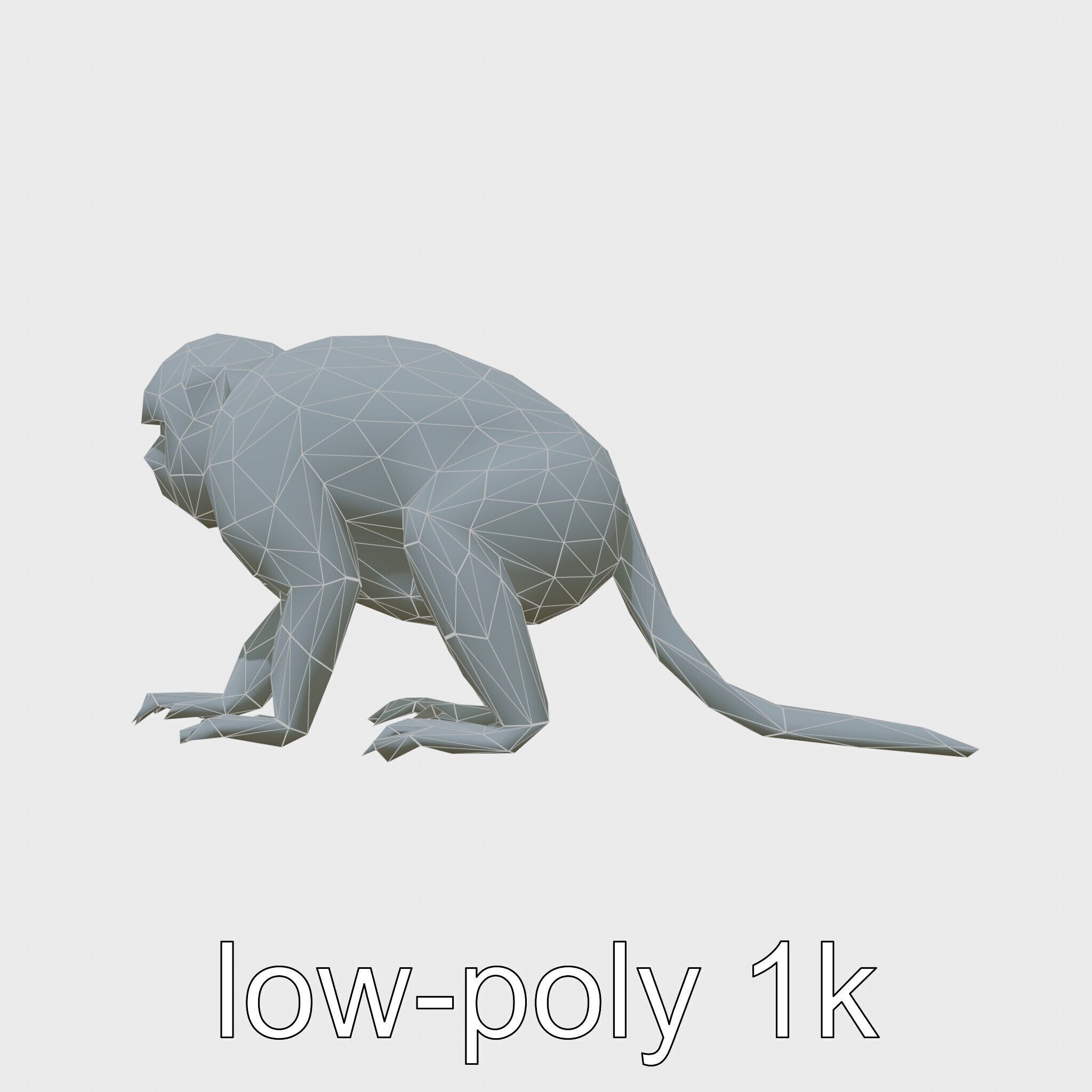Colobus Monkey 3D Model with Flowing Fur Details Low-poly 3D model_26